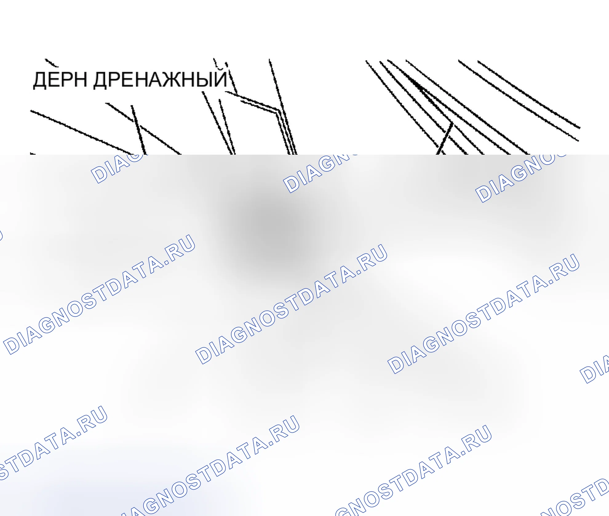 Рис. 44: < ECLIPSE SPYDER >. Mitsubishi Eclipse III