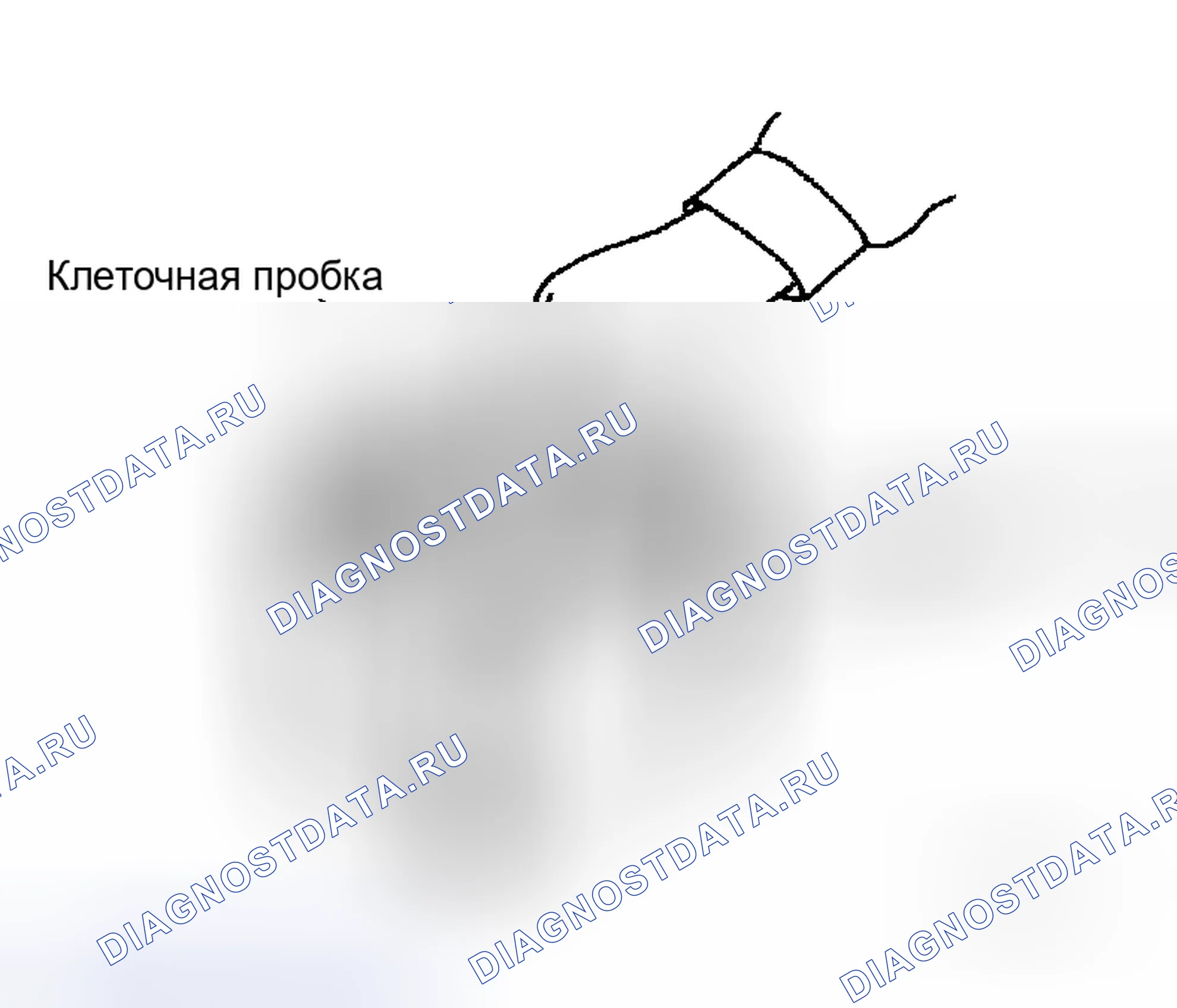 Рис. 38. Honda N-WGN I