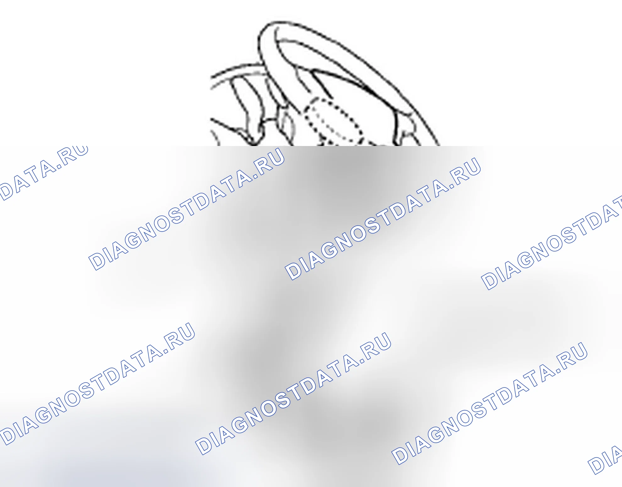 Рис. 20. Honda Fit I