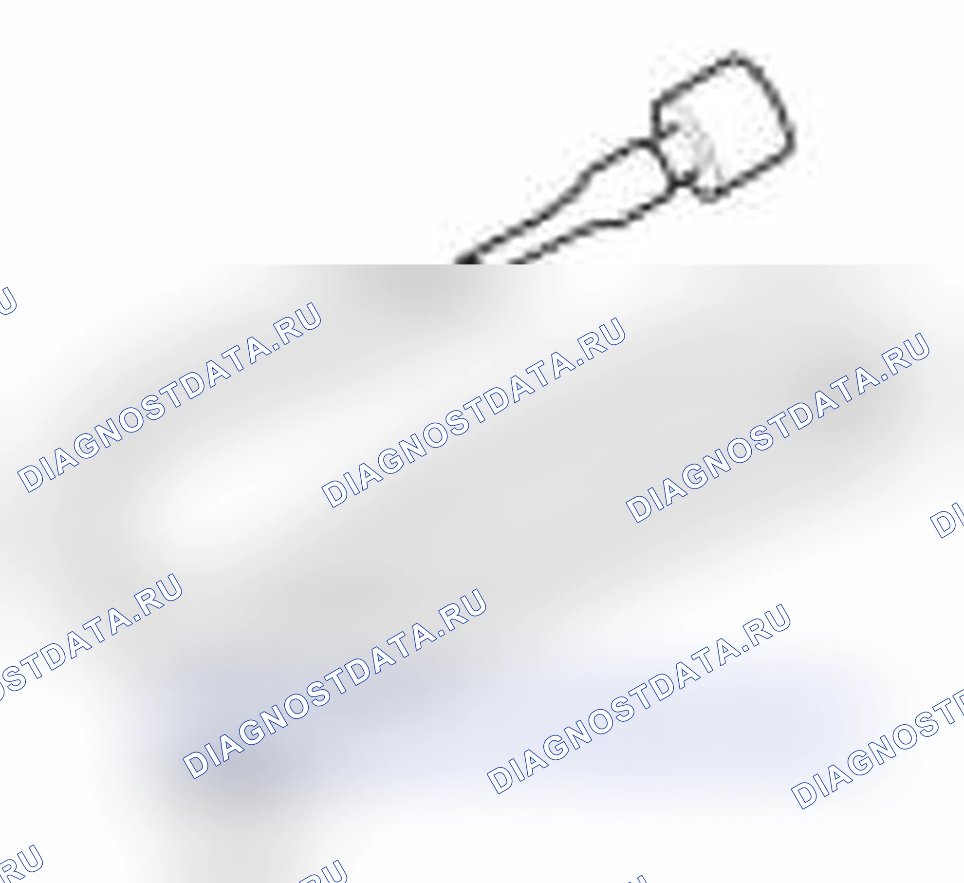 Рис. 43. Kia Forte I