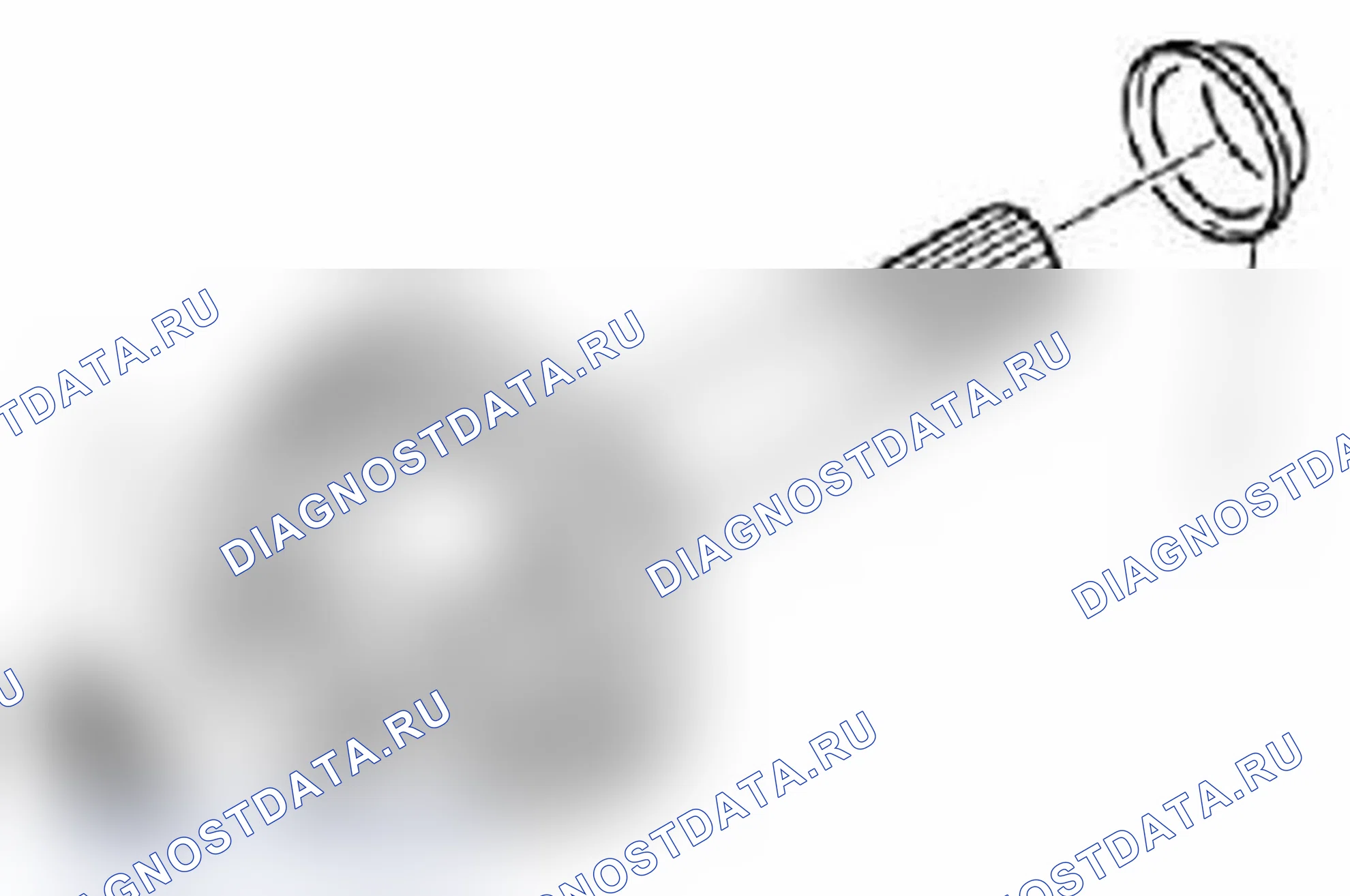 Рис. 491. Suzuki Grand Vitara II рестайлинг