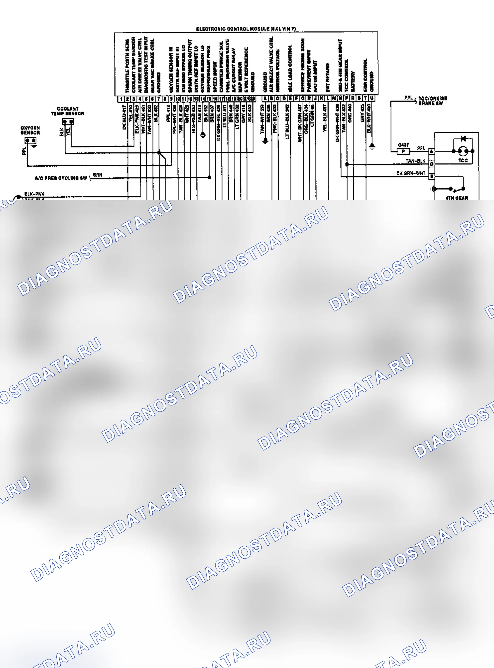 Рис. 48: Универсал Estate Carbureted 5.0L (VIN Y). Buick Electra Park Avenue 
