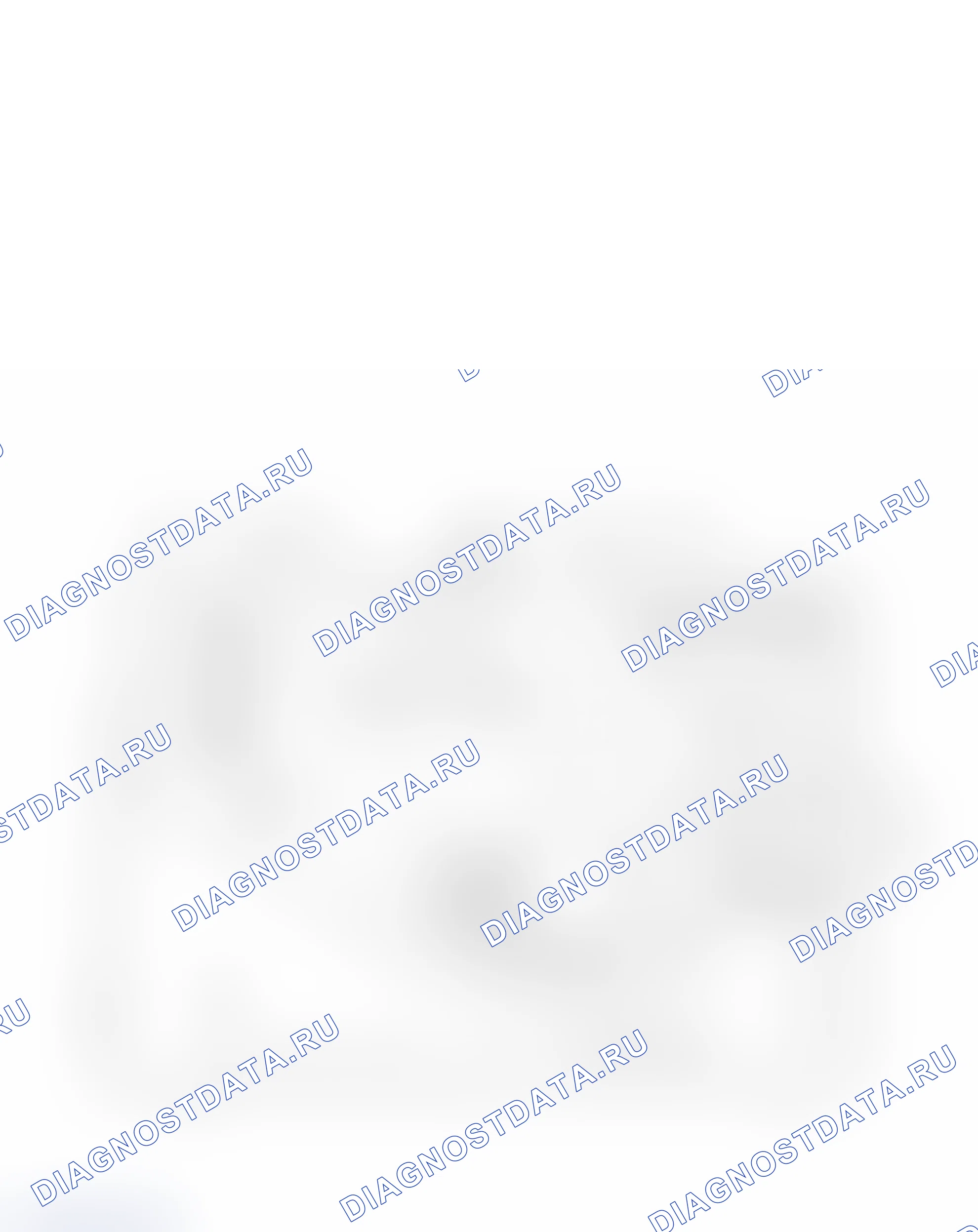 Информация о блоке предохранителей F205, F209, F210, F211, F212, F213, F216, F217, F218, F219, F220, F221, F224, F225, F227, F228, F231, F232, F233, F234 (стр. 1) — Блок предохранителей моторного отсека. Haval H9 I рестайлинг
