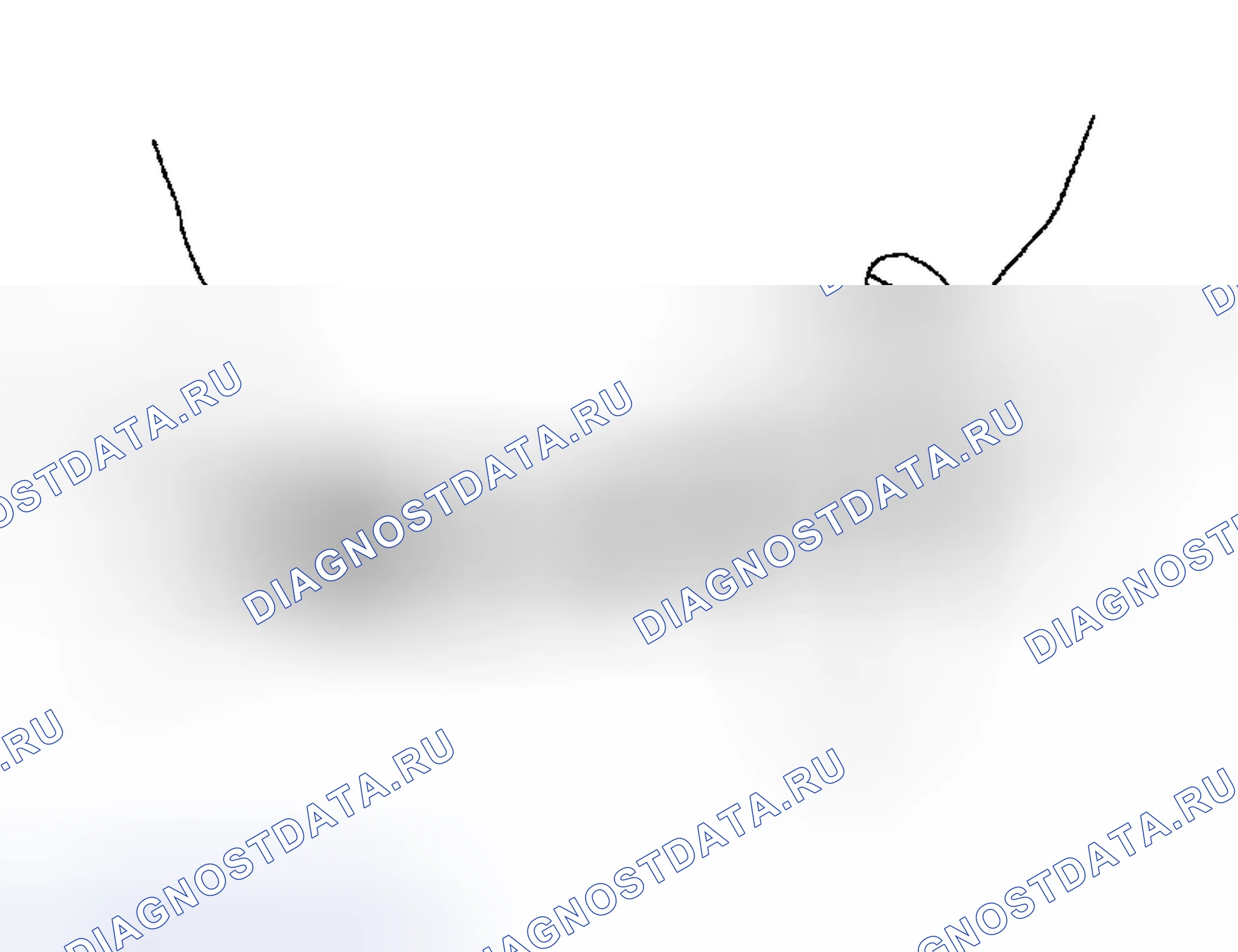 Рис. 255. Subaru Forester SG