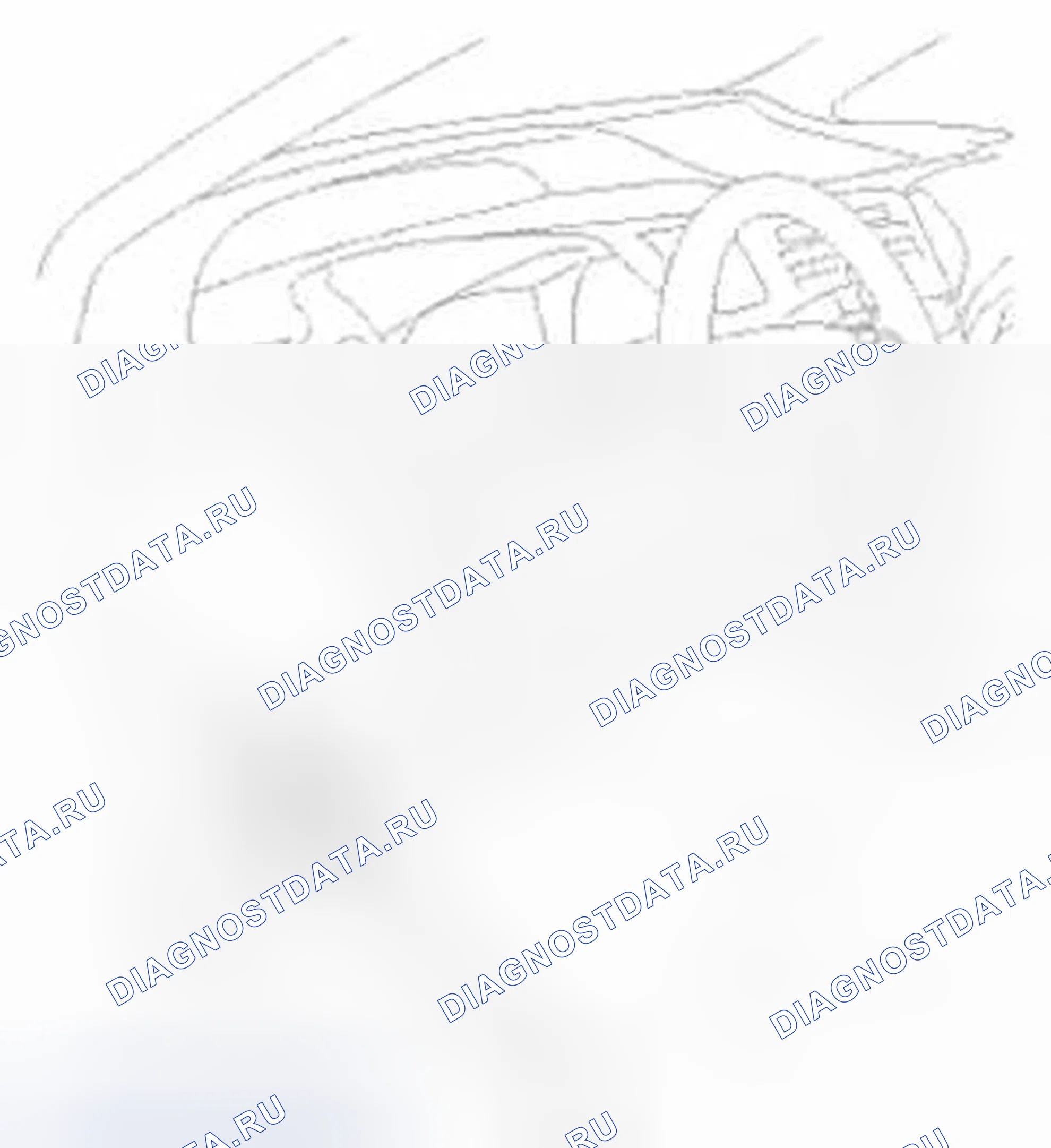 Рис. 892. Honda Civic IX