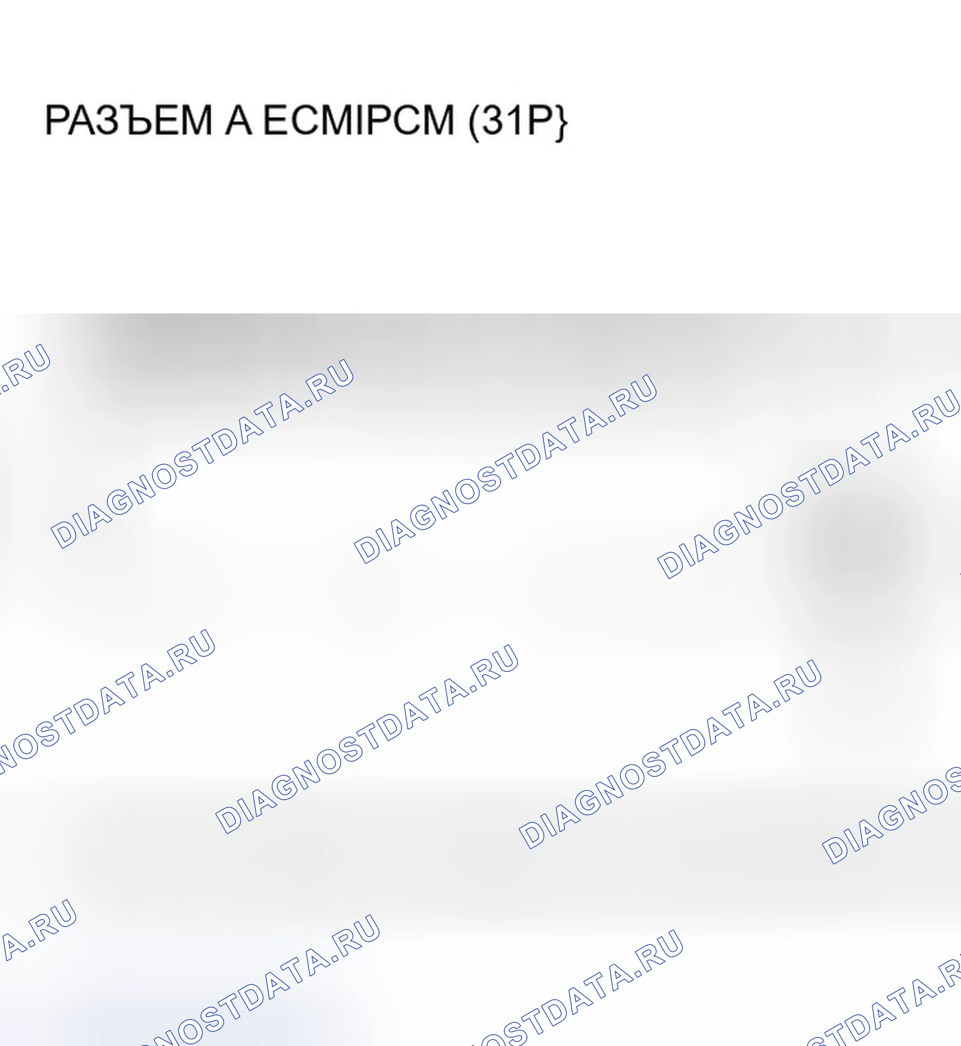 Рис. 140. Honda Element YH2