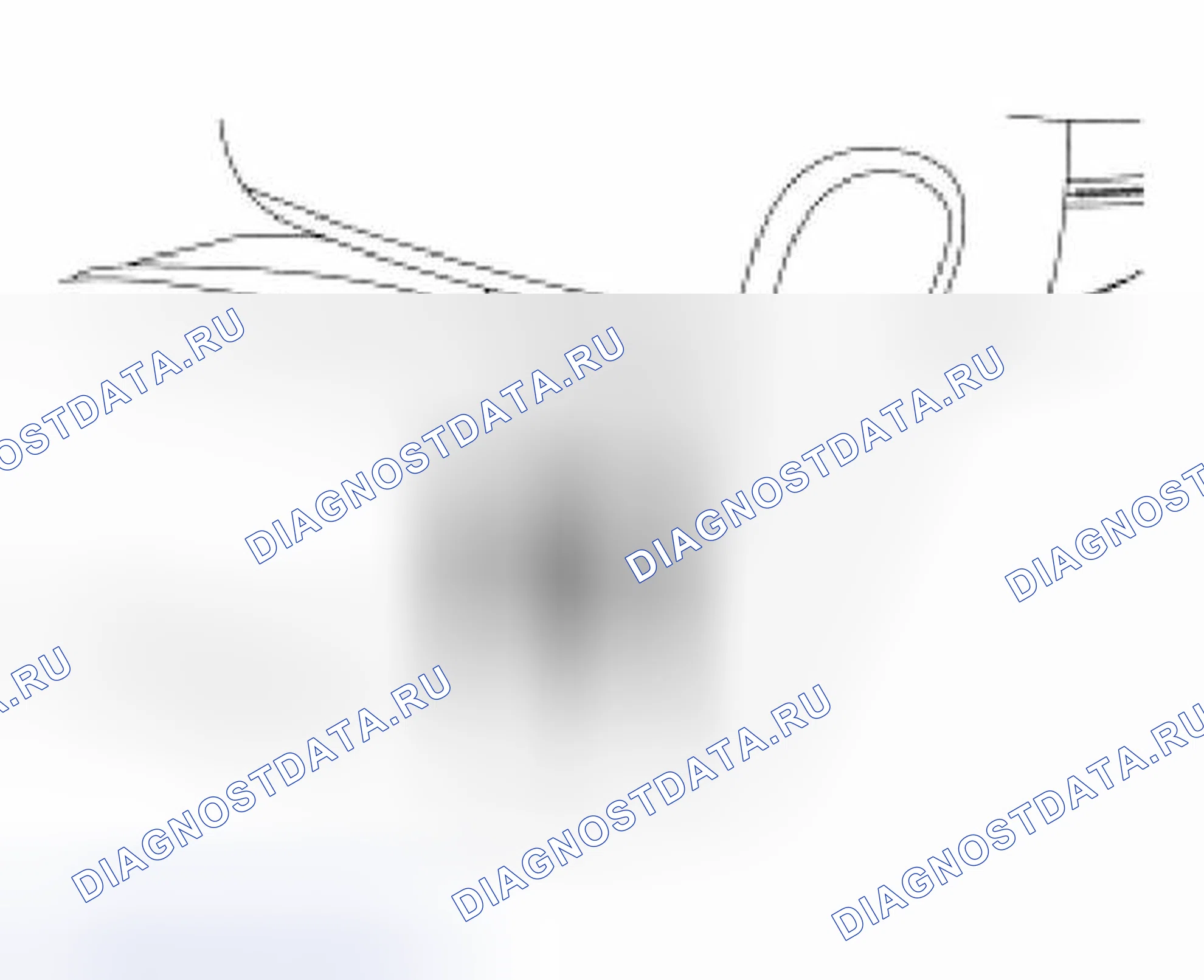 Рис. 302. Hyundai Lavita I
