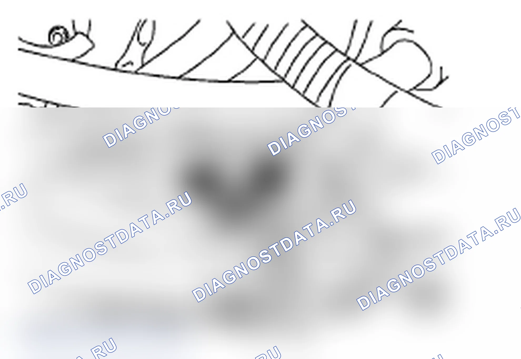 Рис. 155. Subaru Impreza WRX GH