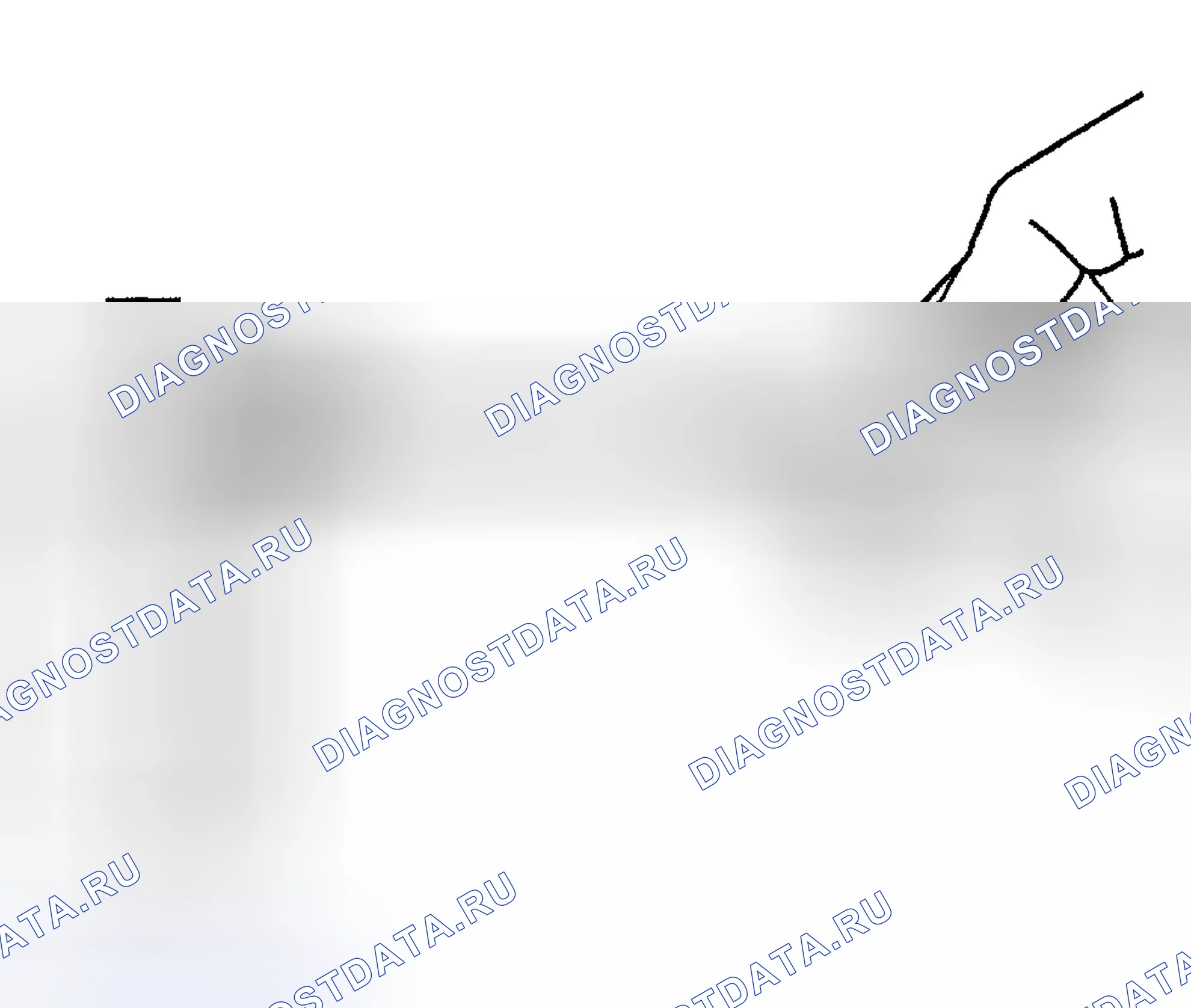 Рис. 140. Hyundai Tiburon II рестайлинг