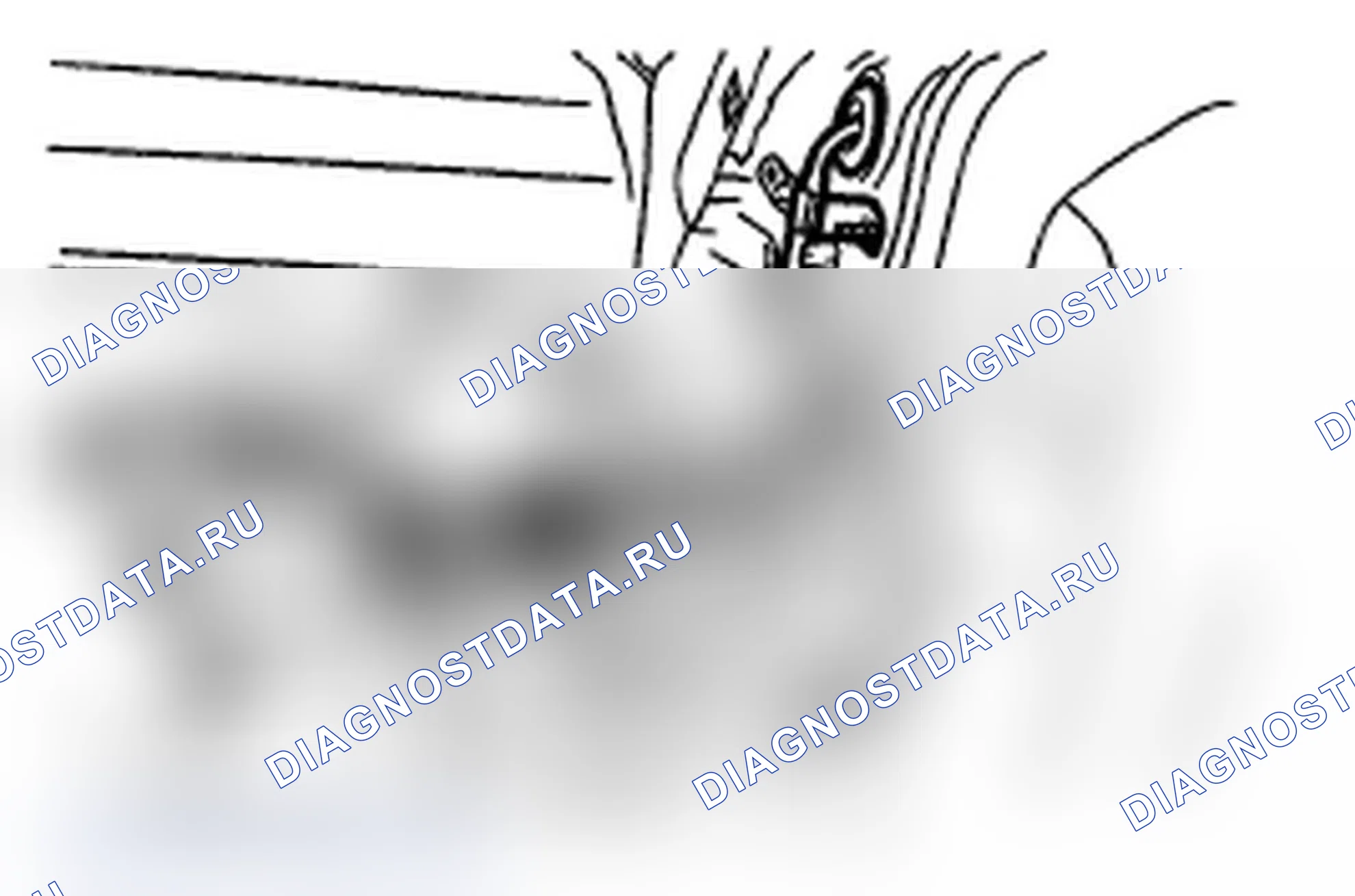 Рис. 151. Subaru Impreza WRX STI GR