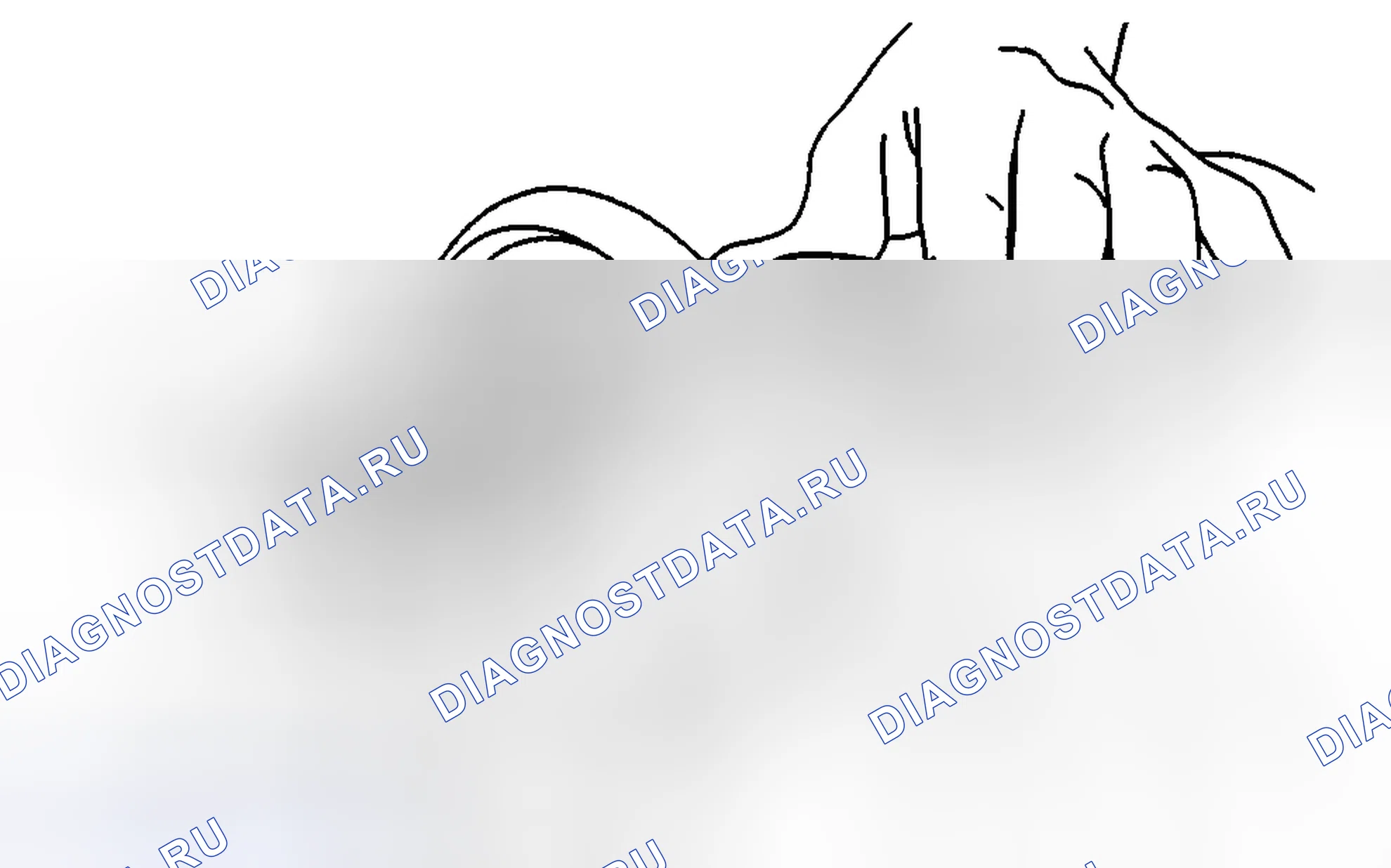 Рис. 3. BMW 6 серия F06/F13/F12