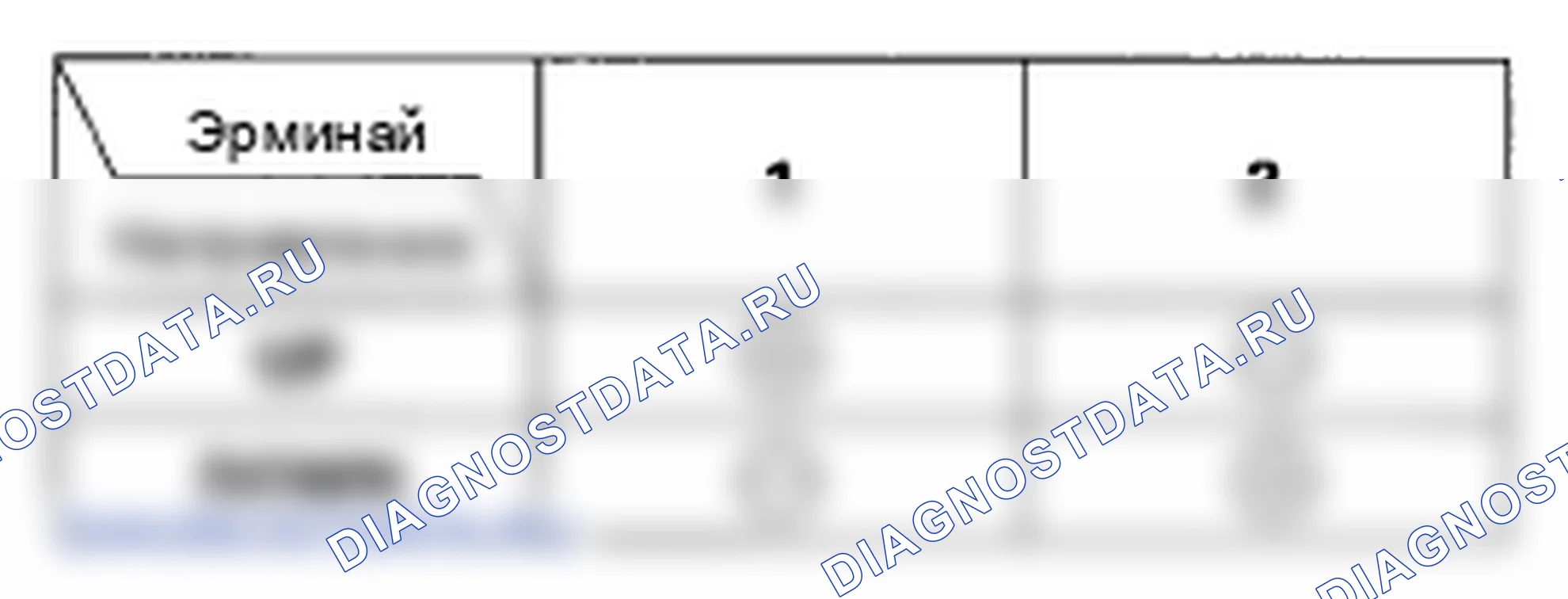 Рис. 6. Honda Element YH2 рестайлинг 2