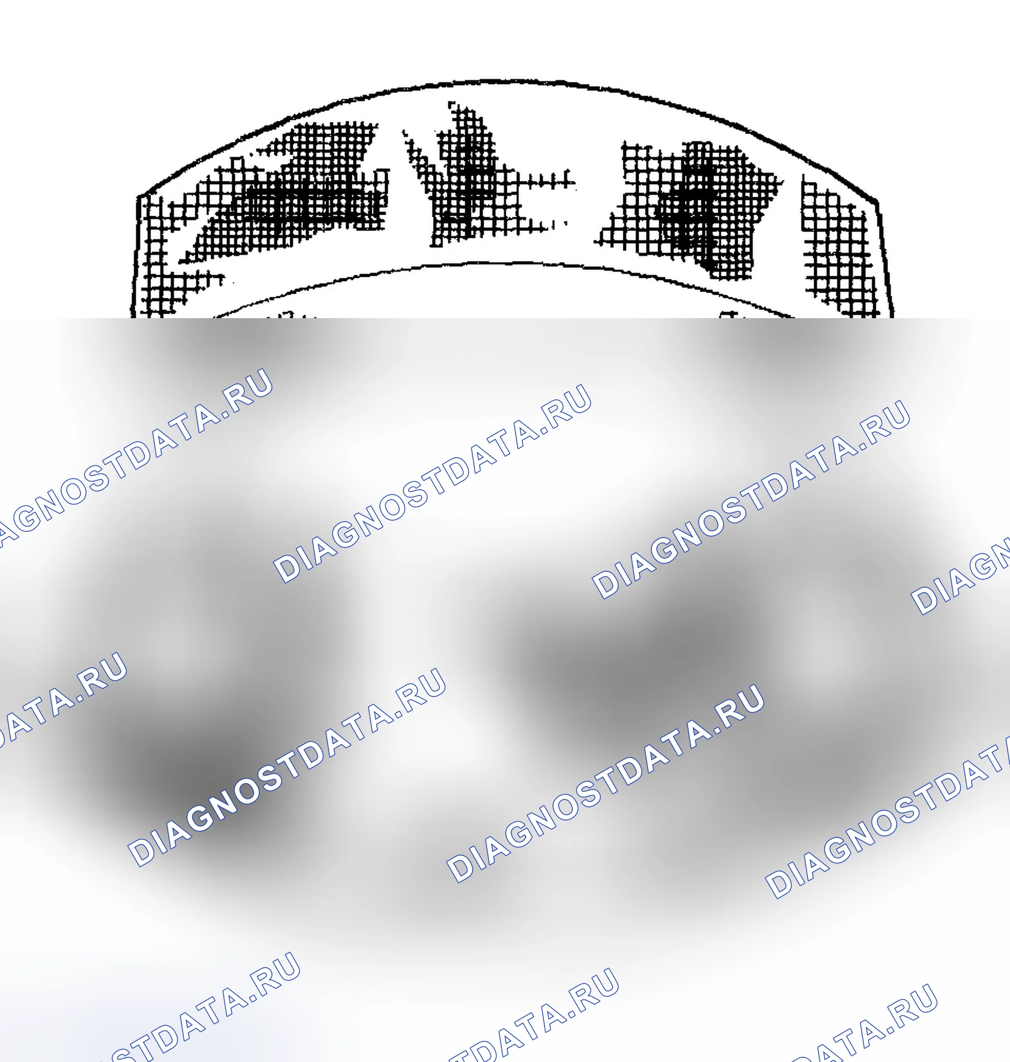 Рис. 218: Мазки. Chevrolet TrailBlazer I