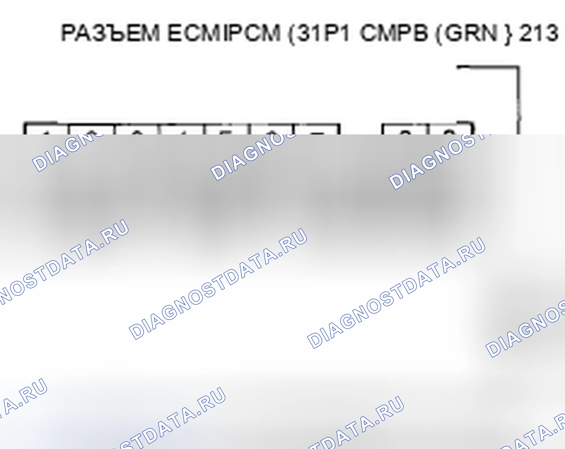 Рис. 432. Honda Element YH2 рестайлинг 2