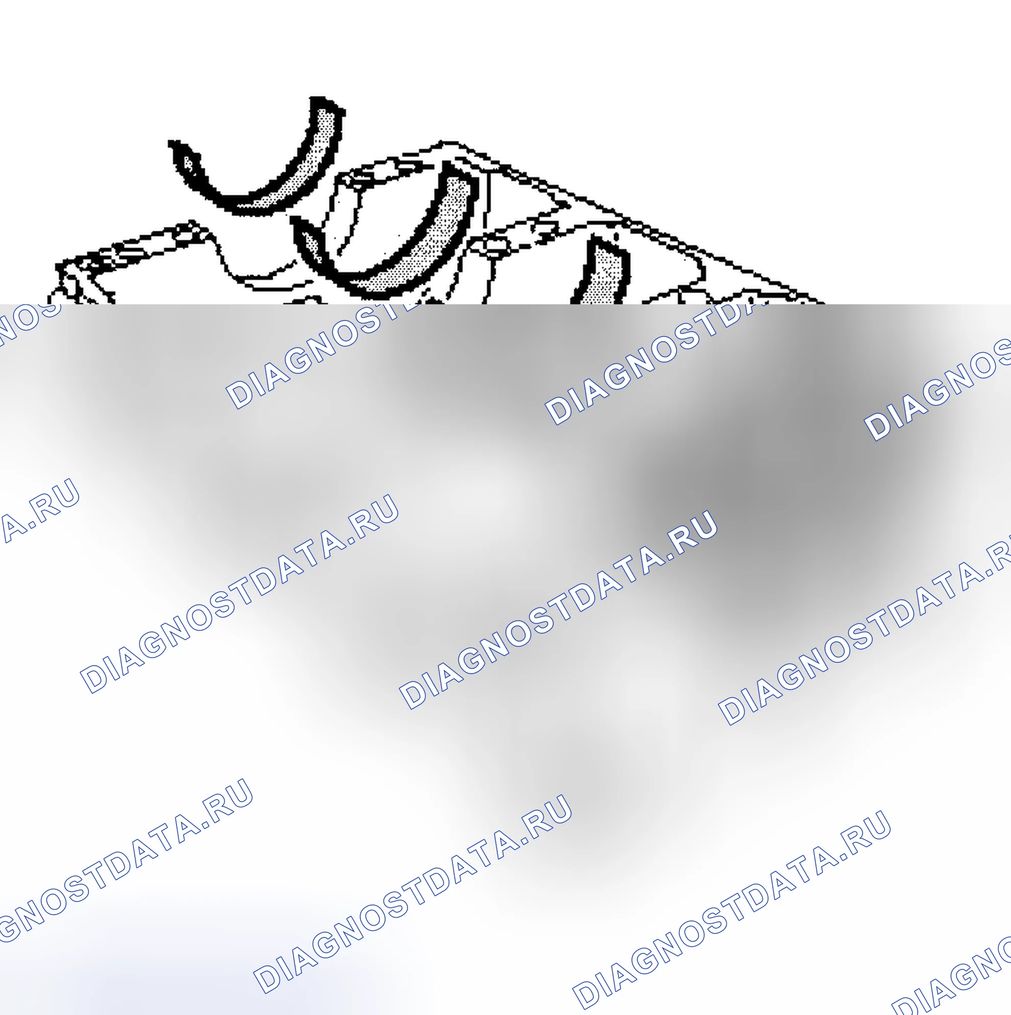 Рис. 192. Land Rover Freelander L314
