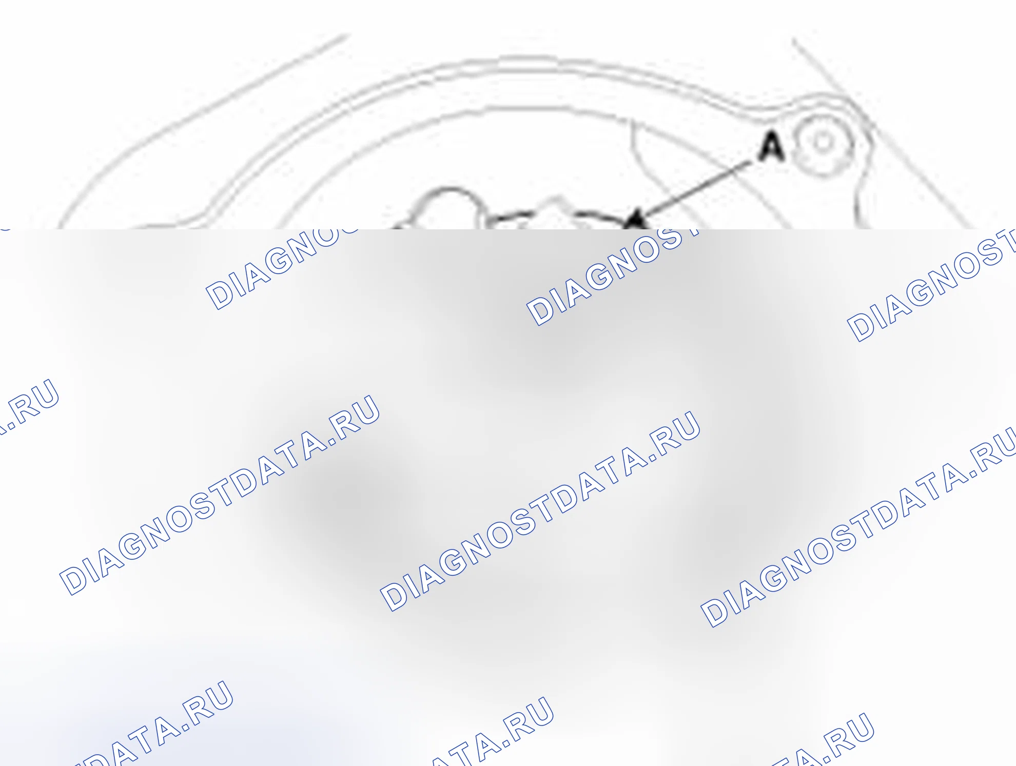 Рис. 5. Haval Beast (Shenshou) I