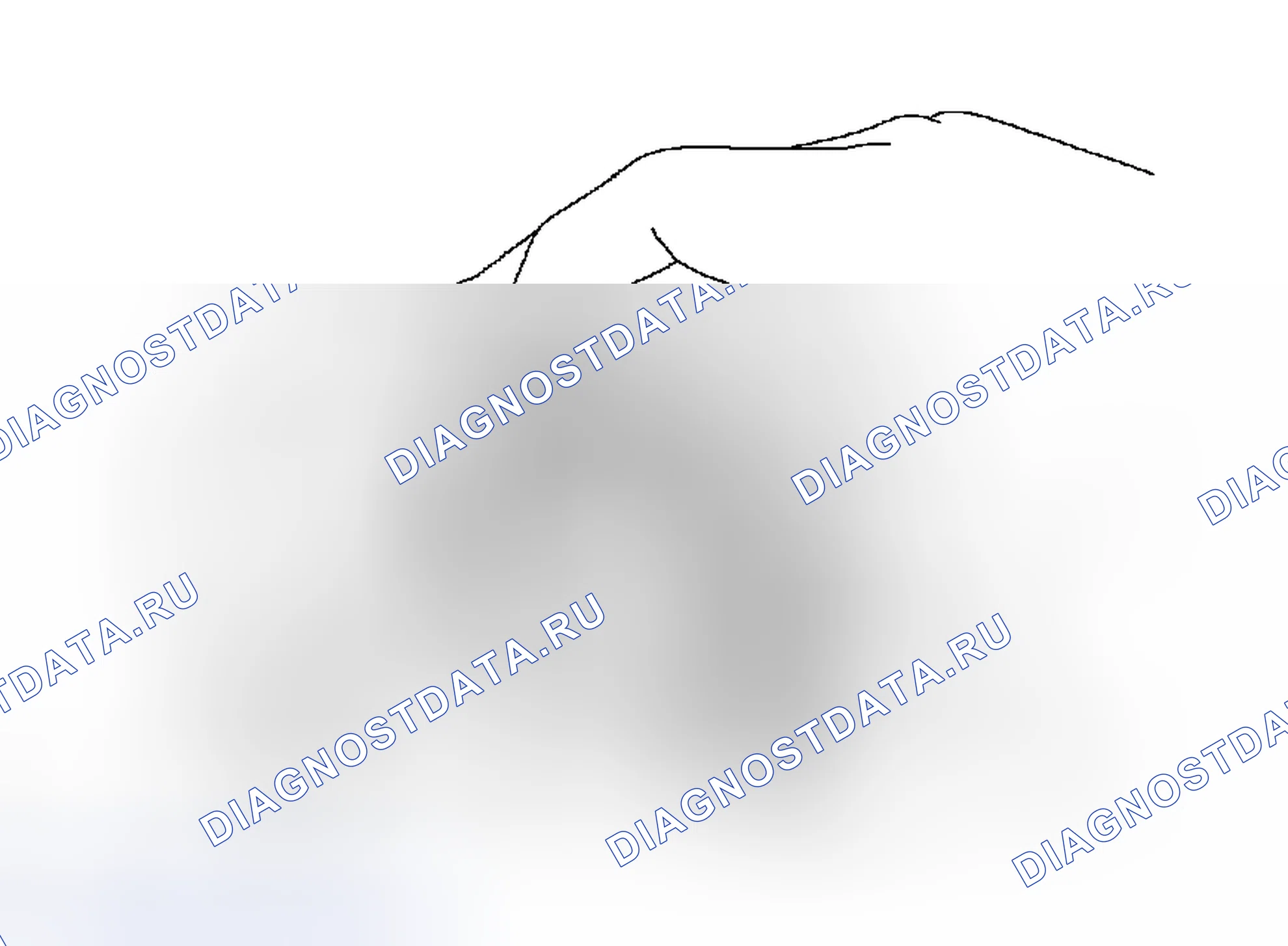 Рис. 631. Toyota Tacoma II