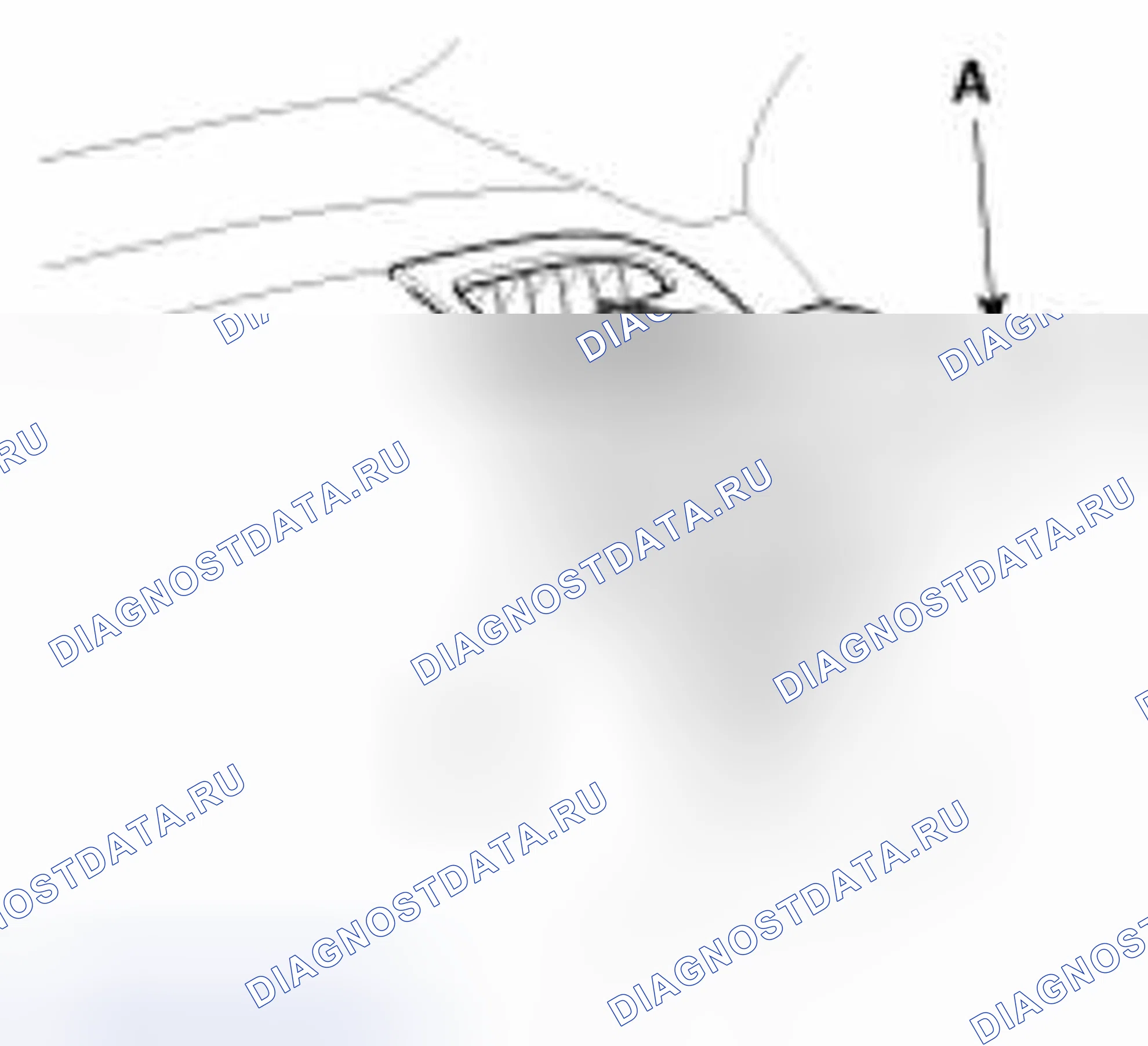 Рис. 124. Kia Forte I