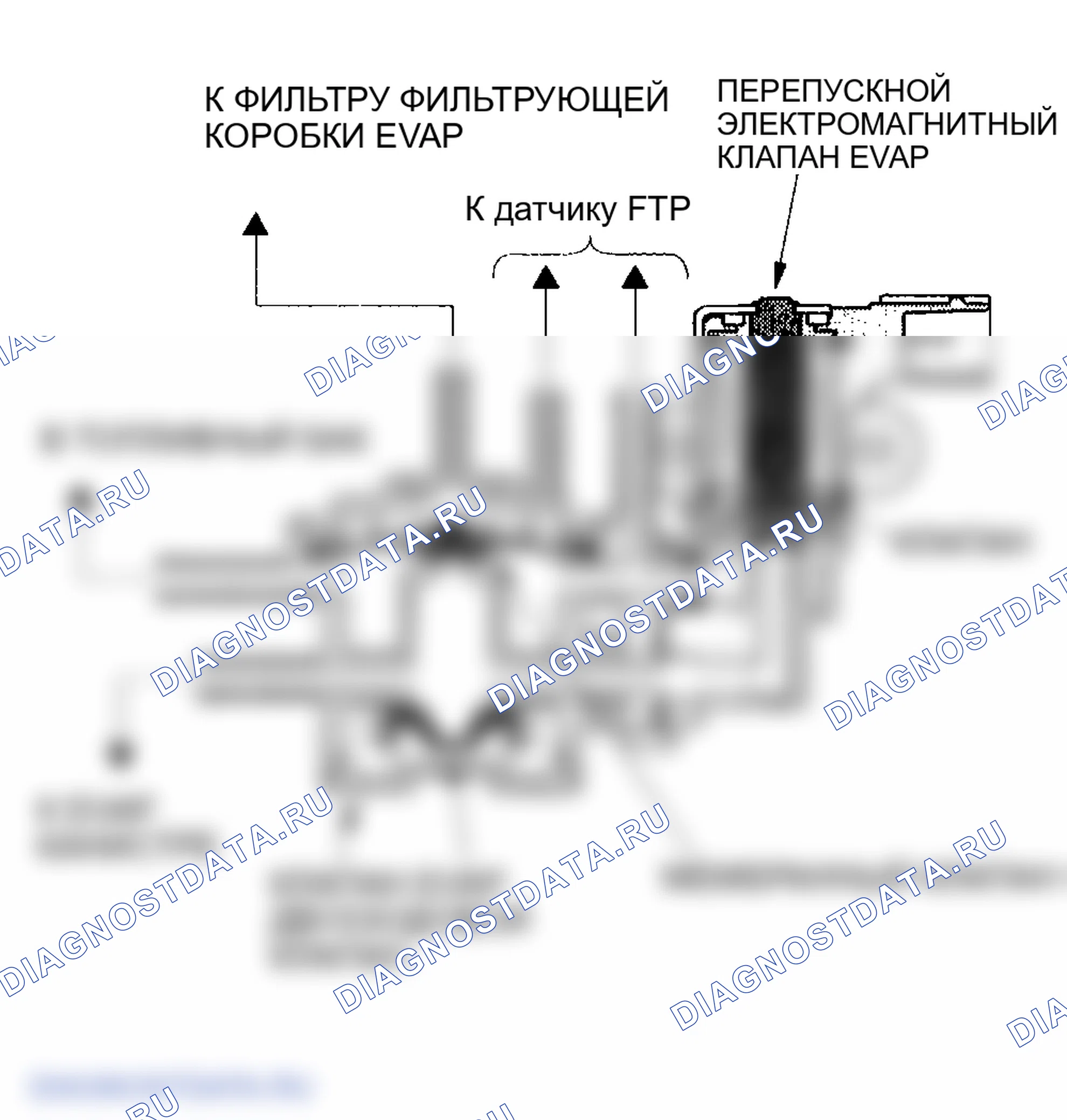 Рис. 80: Двухходовой клапан EVAP и перепускной электромагнитный клапан EVAP. Honda Odyssey II