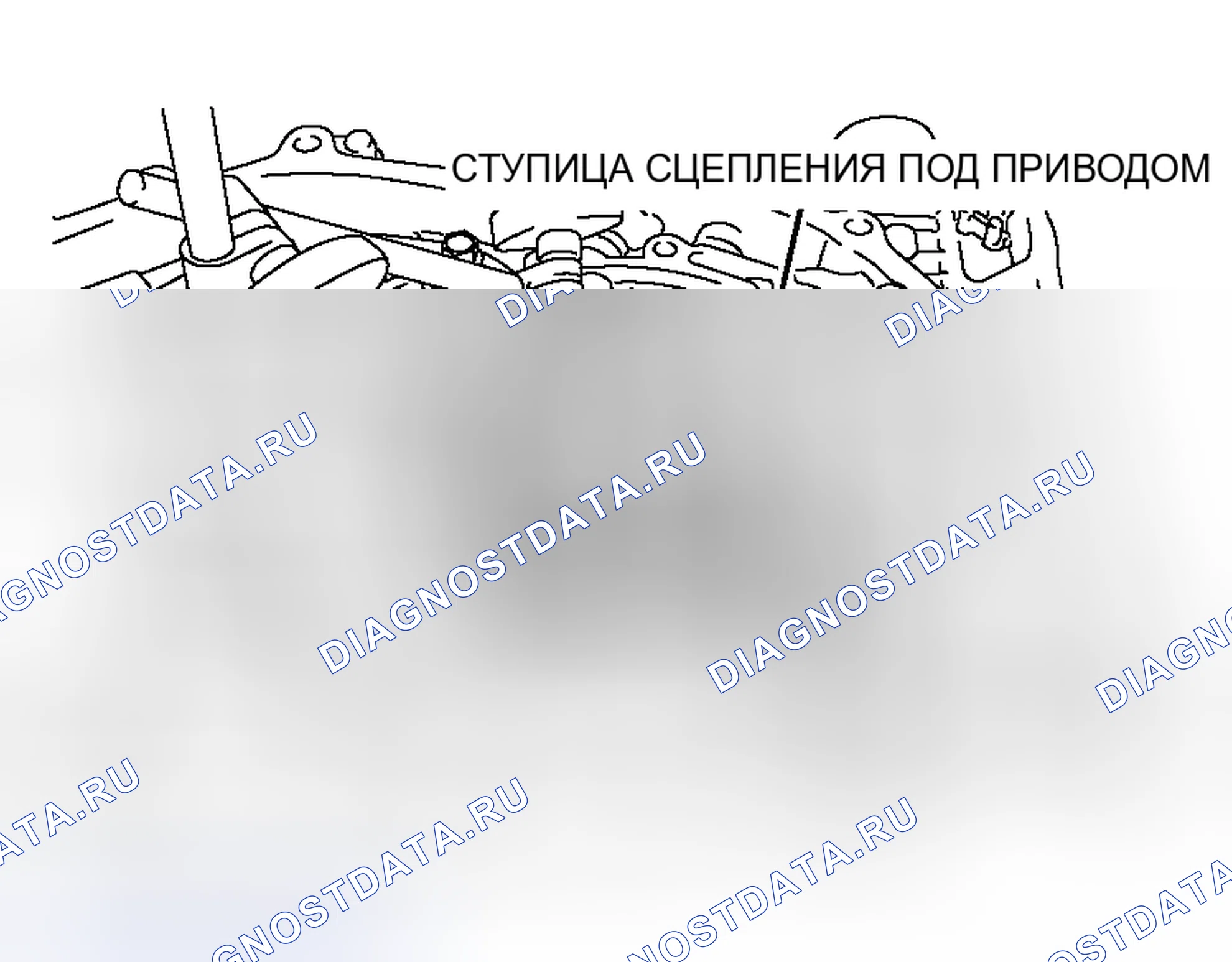 Рис. 653. Honda Freed+ I