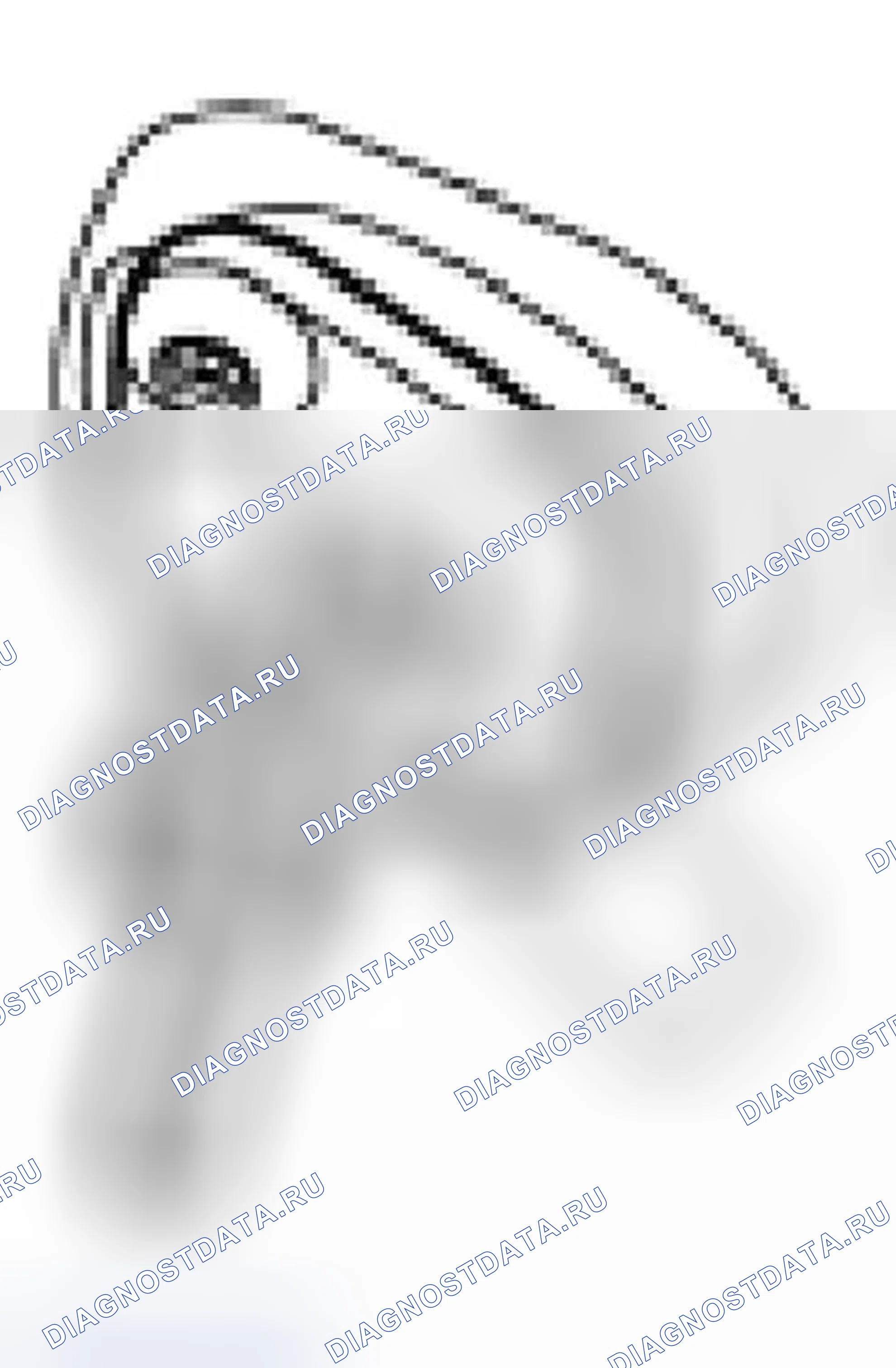 Рис. 101. Ford Focus I рестайлинг