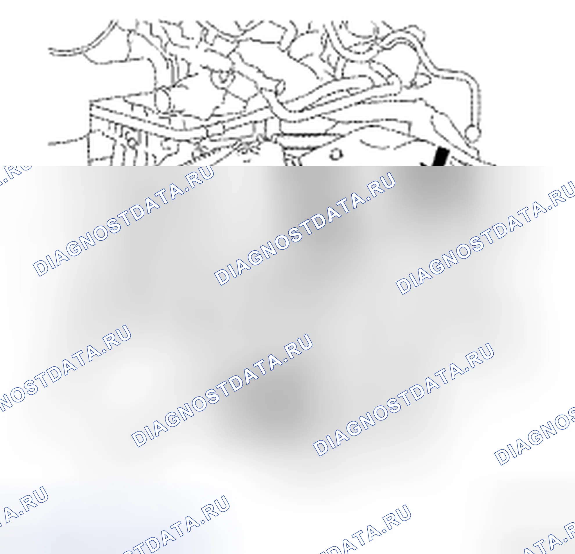 Рис. 607. Toyota Camry XV40
