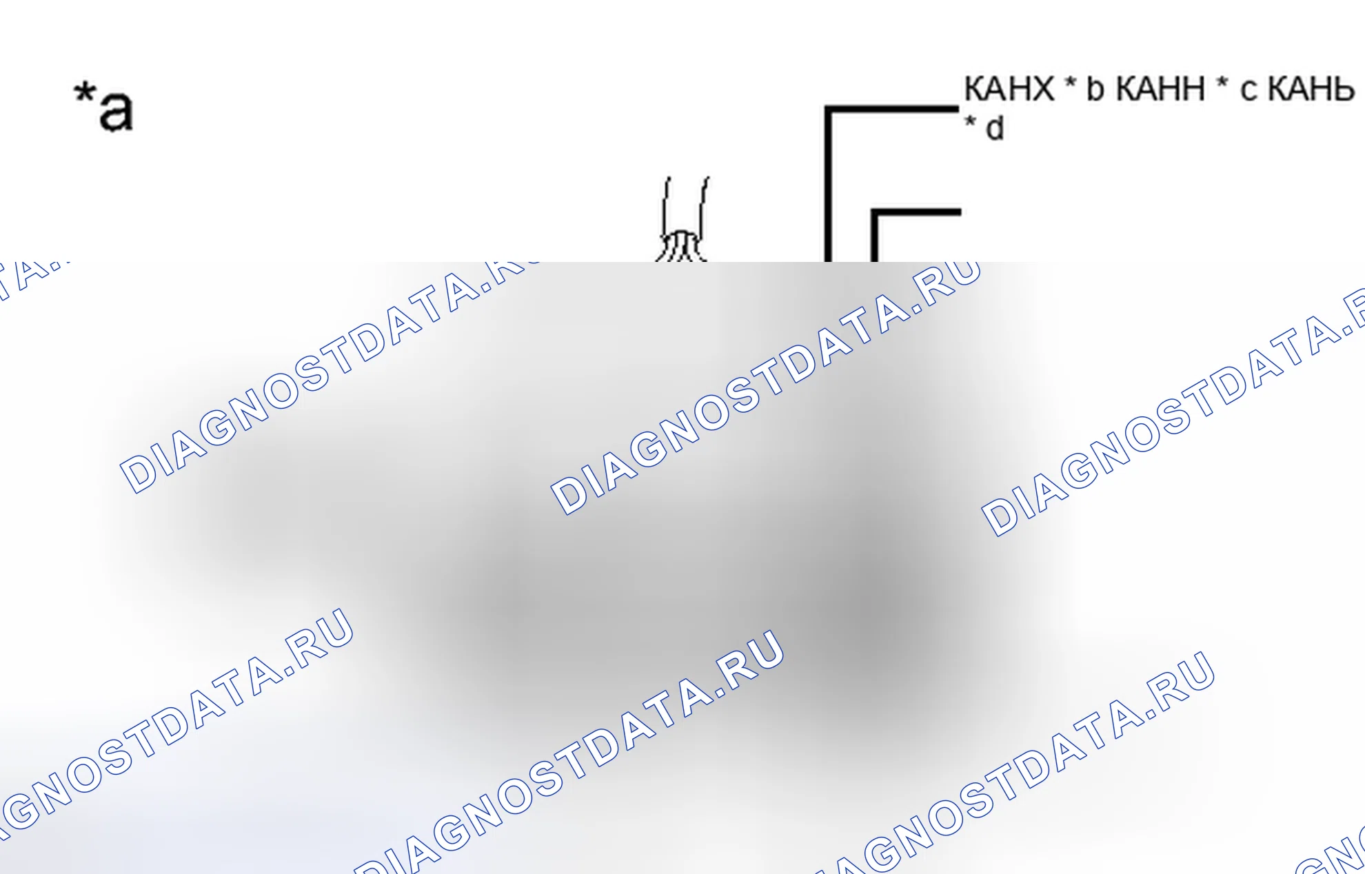 Рис. 224. Toyota Camry XV50