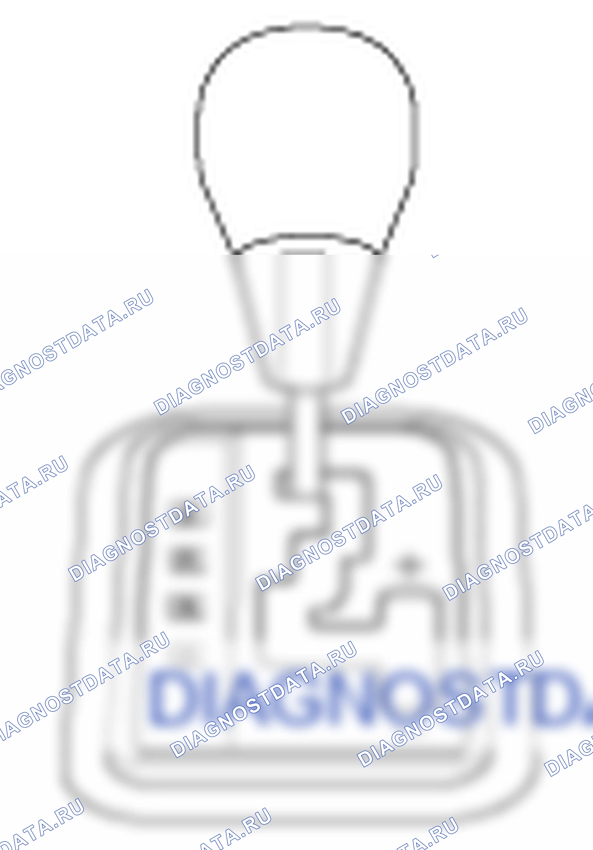 Описание: Описание и работа (F4A51-3). Hyundai Santa Fe CM
