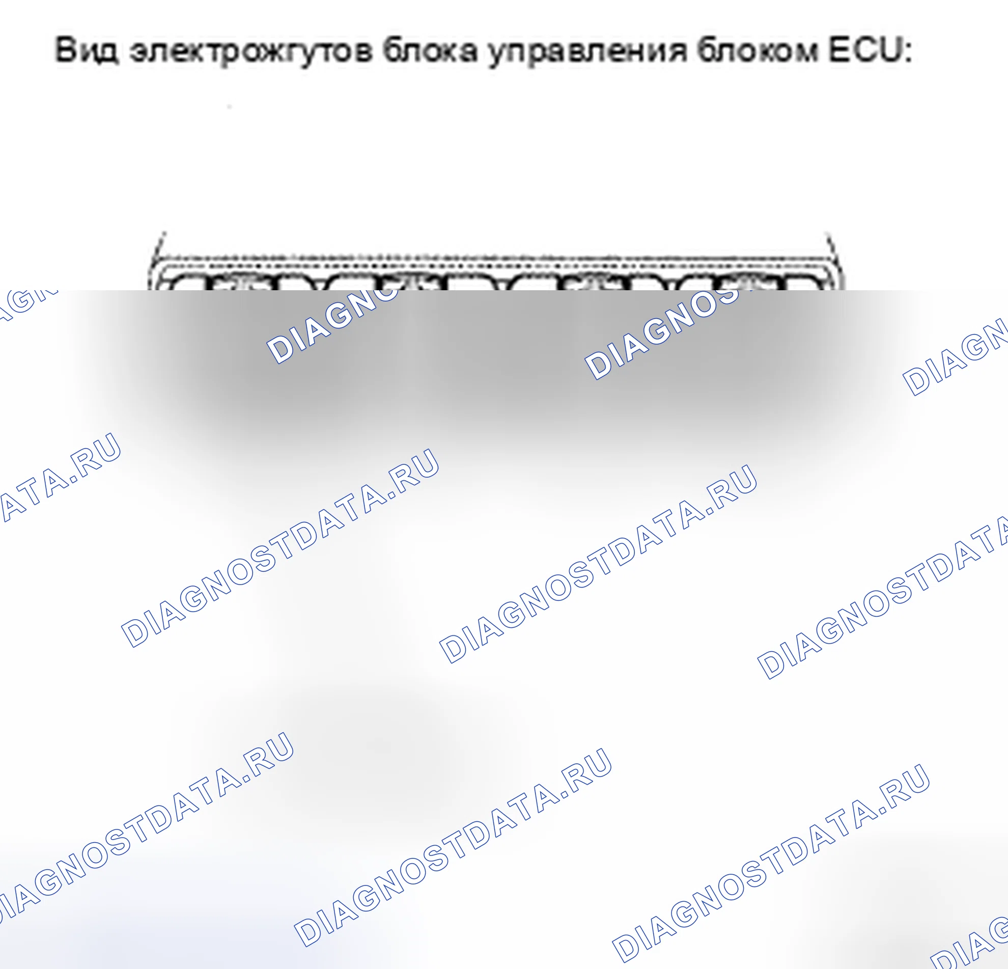 Рис. 105. Toyota Camry XV40