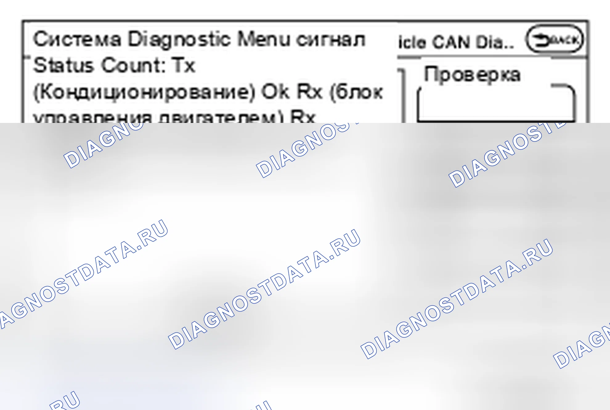 Рис. 242: Диагностика CAN транспортного средства. Infiniti Q70 I рестайлинг