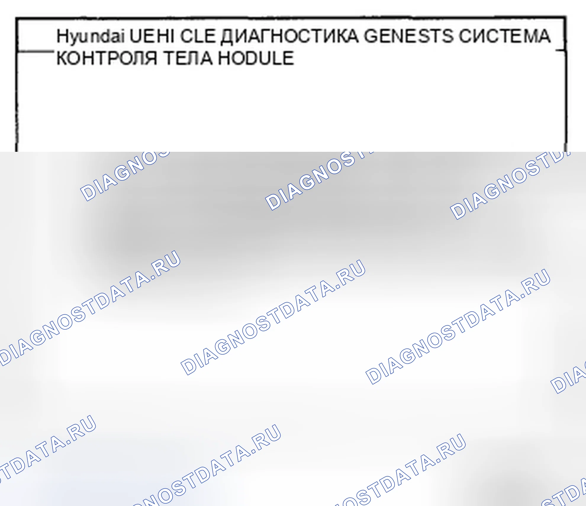 Рис. 21. Hyundai Genesis I
