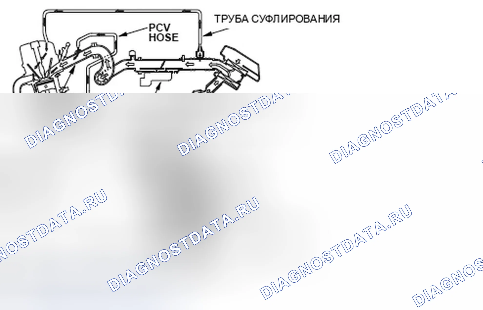 Рис. 364: Блок-схема системы забора воздуха. Honda Element I