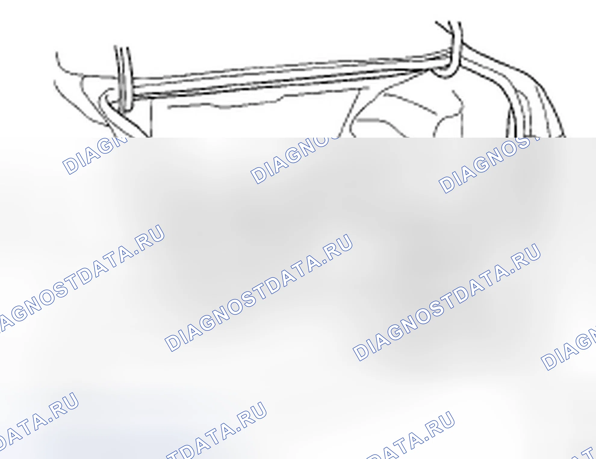 Рис. 133. Honda Accord VII рестайлинг