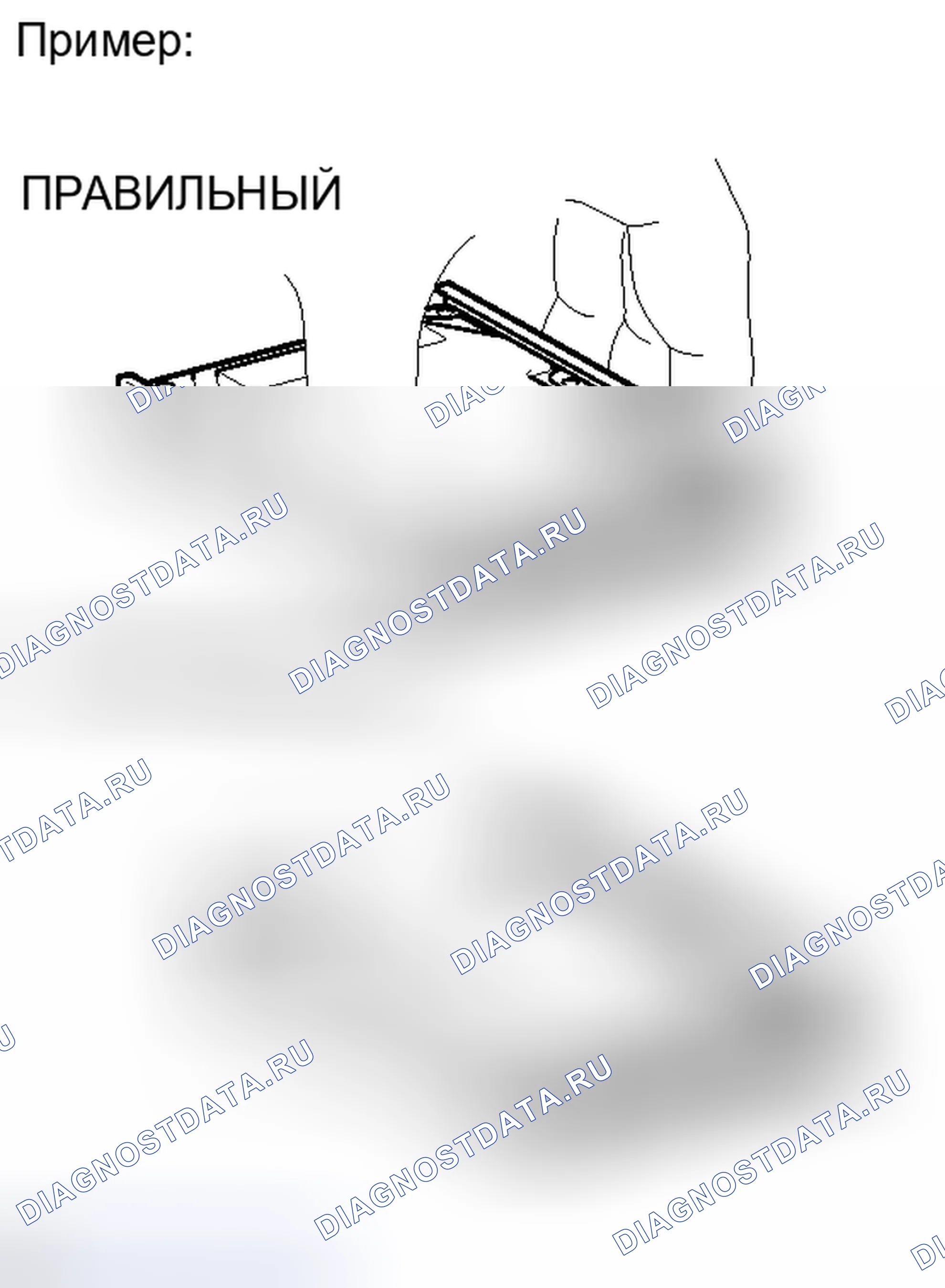 Рис. 319. Haval Raptor I