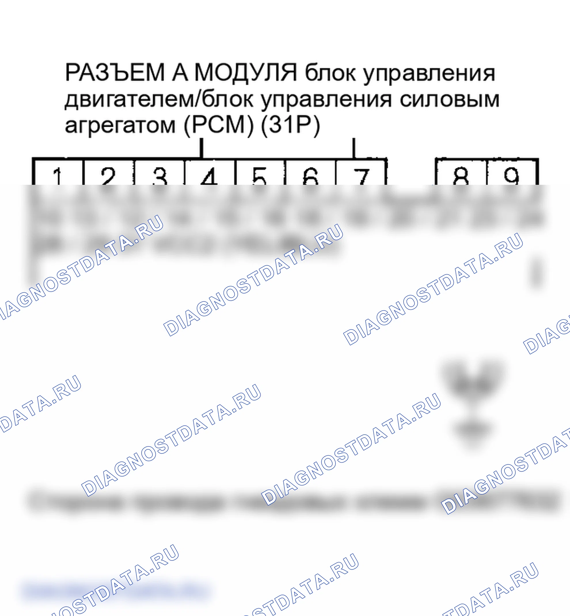 Рис. 35. Honda Element I