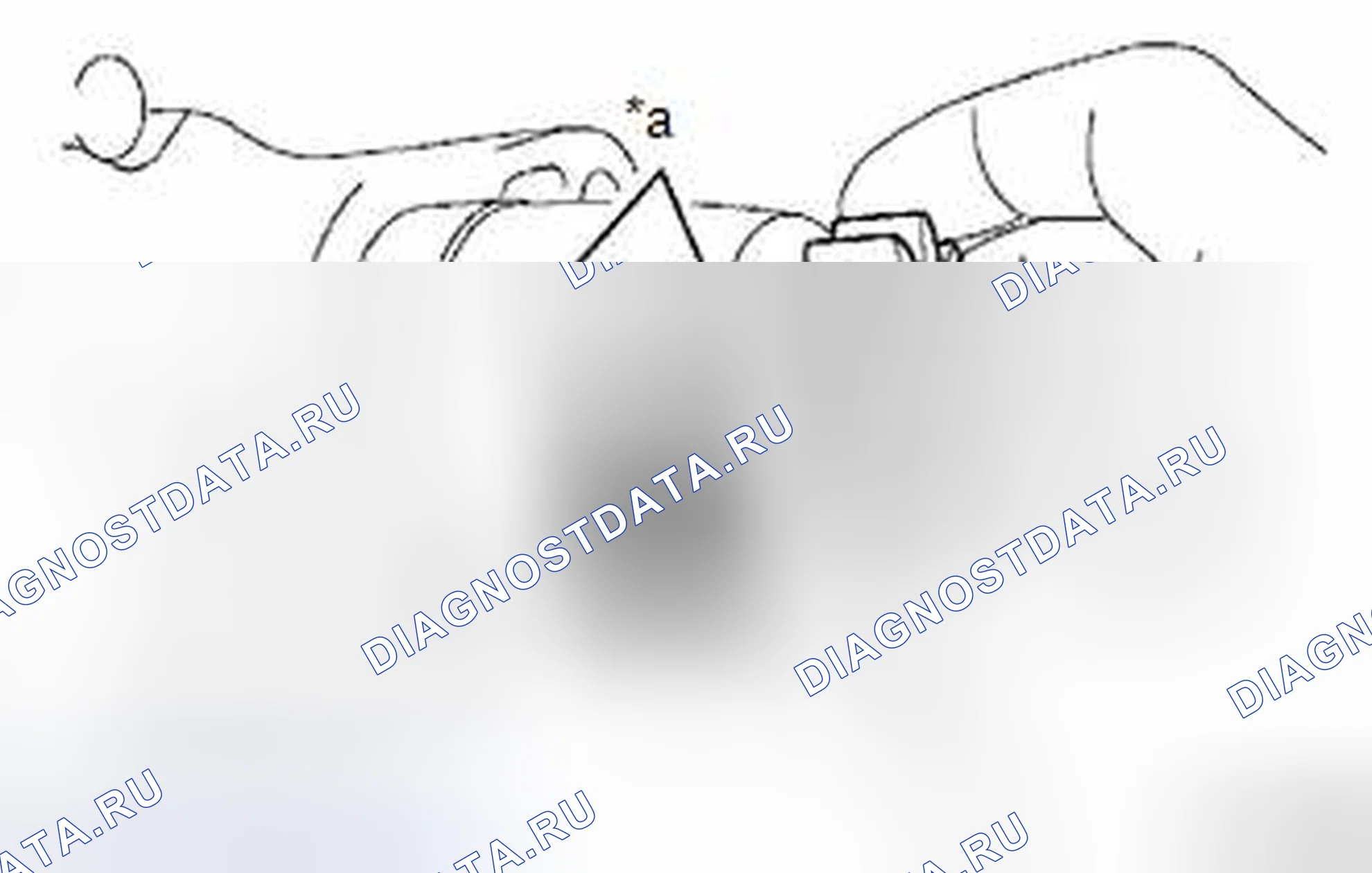 Рис. 33. Toyota Highlander III