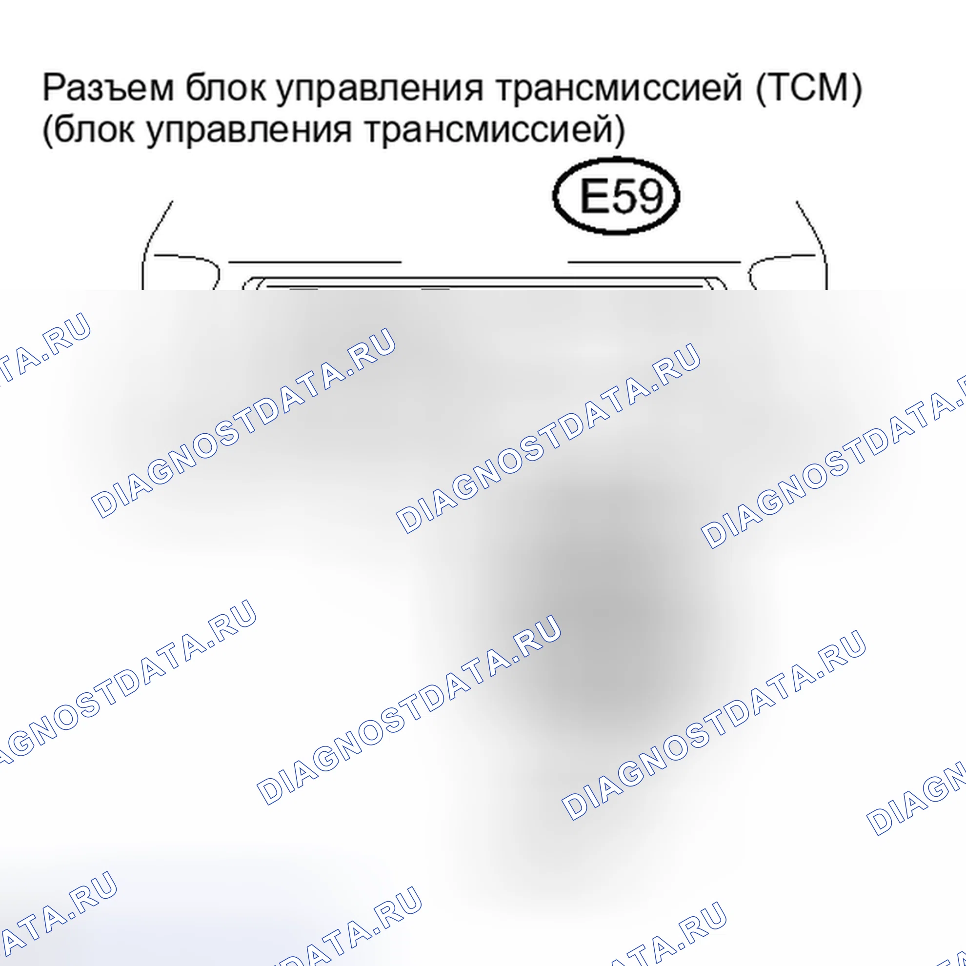 Рис. 426. Lexus IS F I