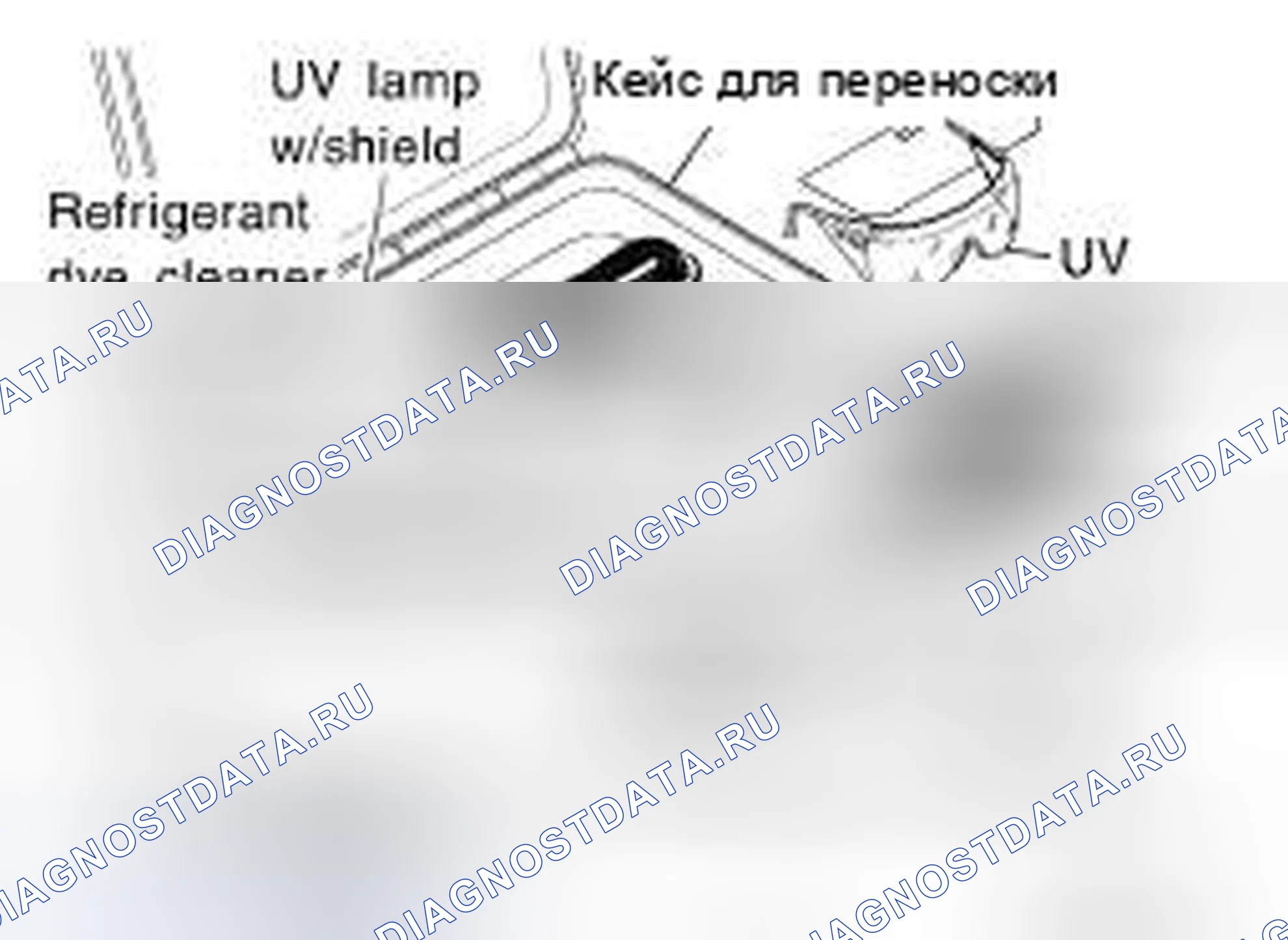 Рис. 151. Honda Torneo I