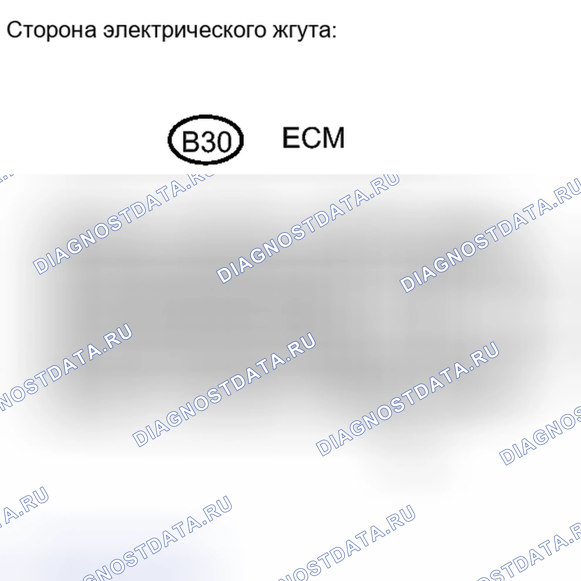 Рис. 581. Toyota RAV4 III рестайлинг