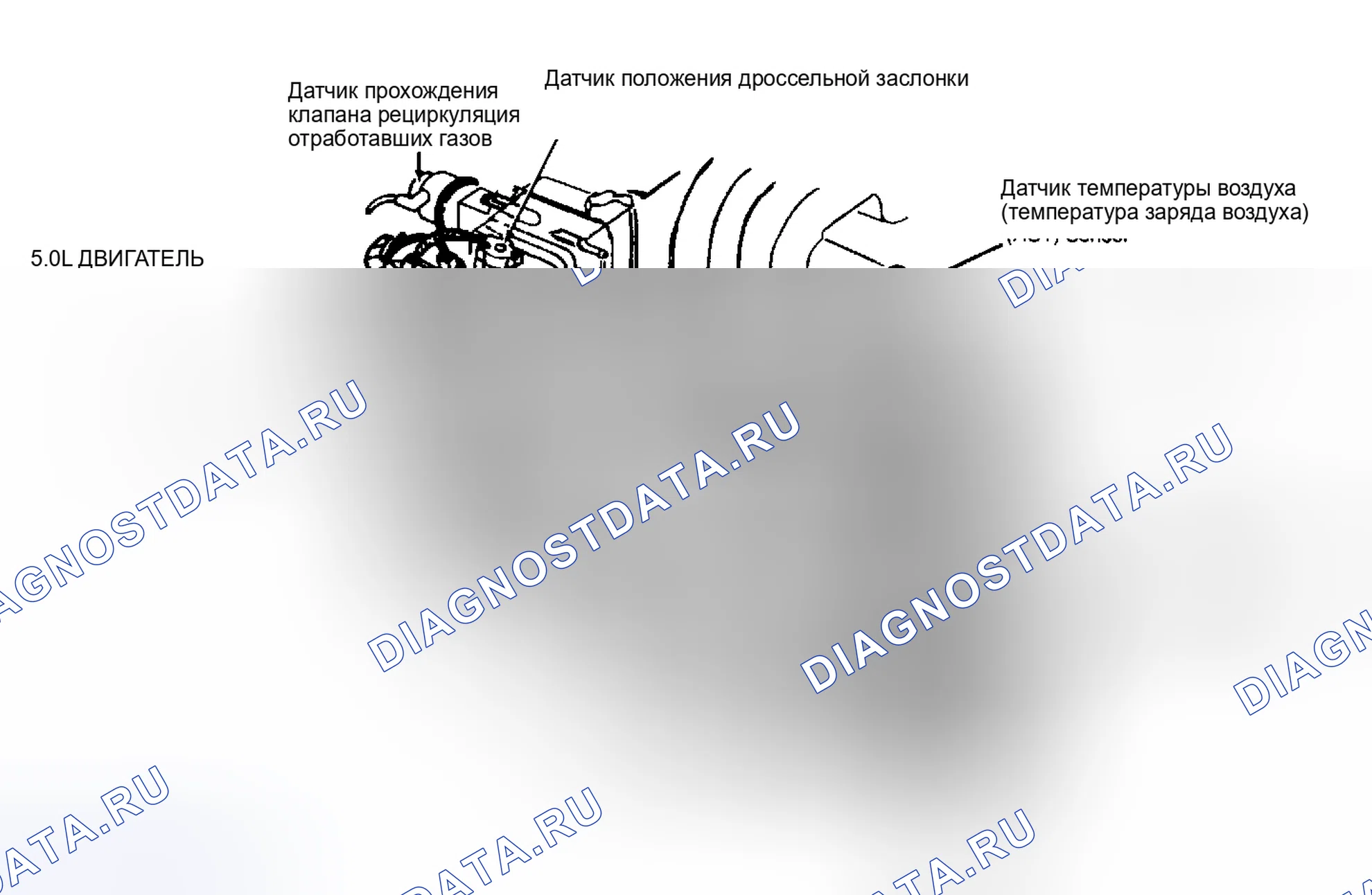 Рис. 5: Расположение компонентов (5 из 7). Ford Mustang III рестайлинг