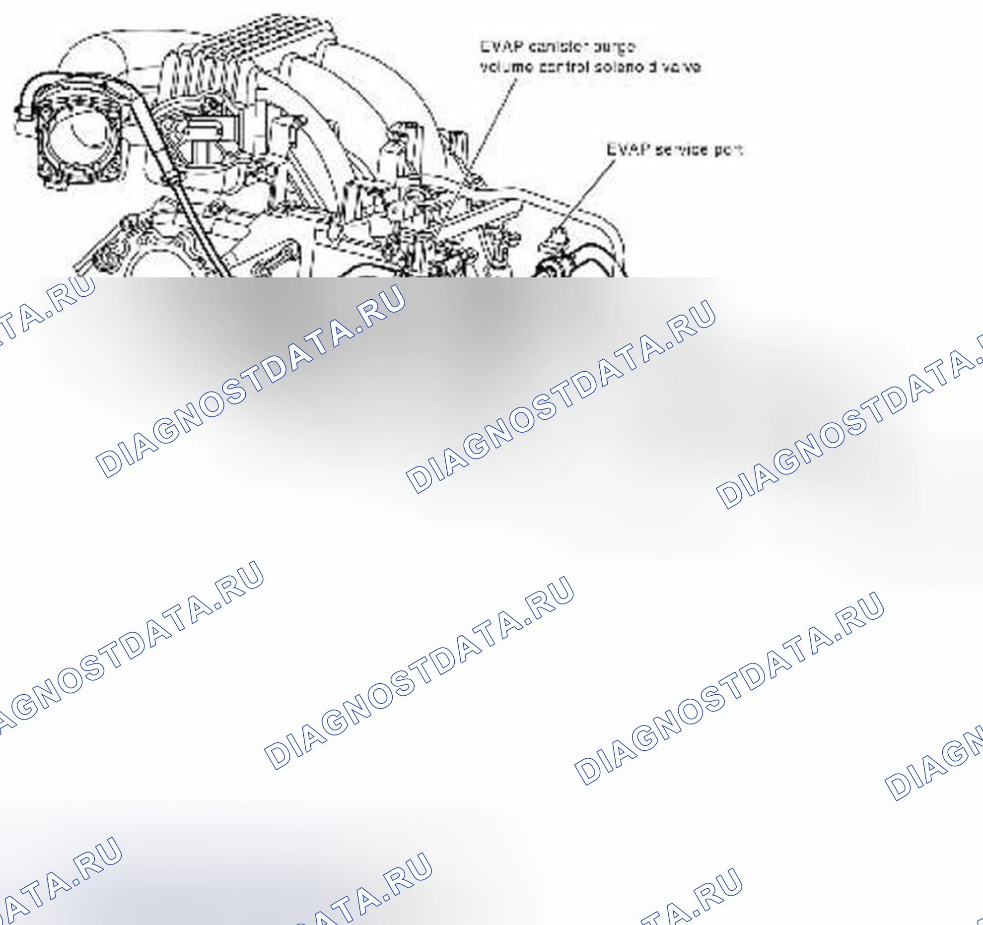 Рис. 11: ЧЕРТЕЖ ЛИНИИ ИСПАРИТЕЛЬНЫХ ВЫБРОСОВ. Suzuki Equator I