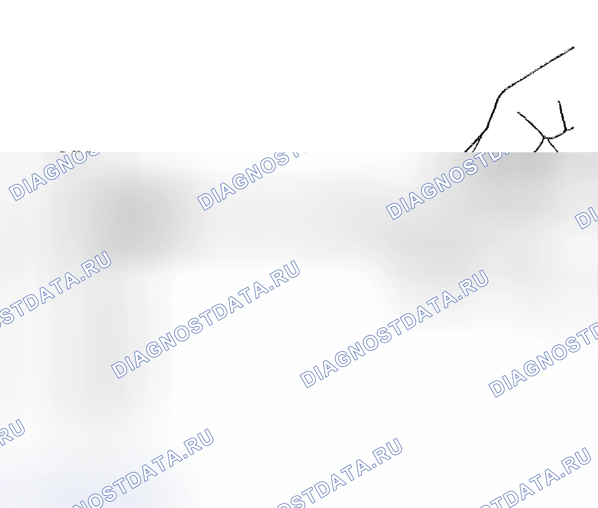 Рис. 1328. Chevrolet TrailBlazer I