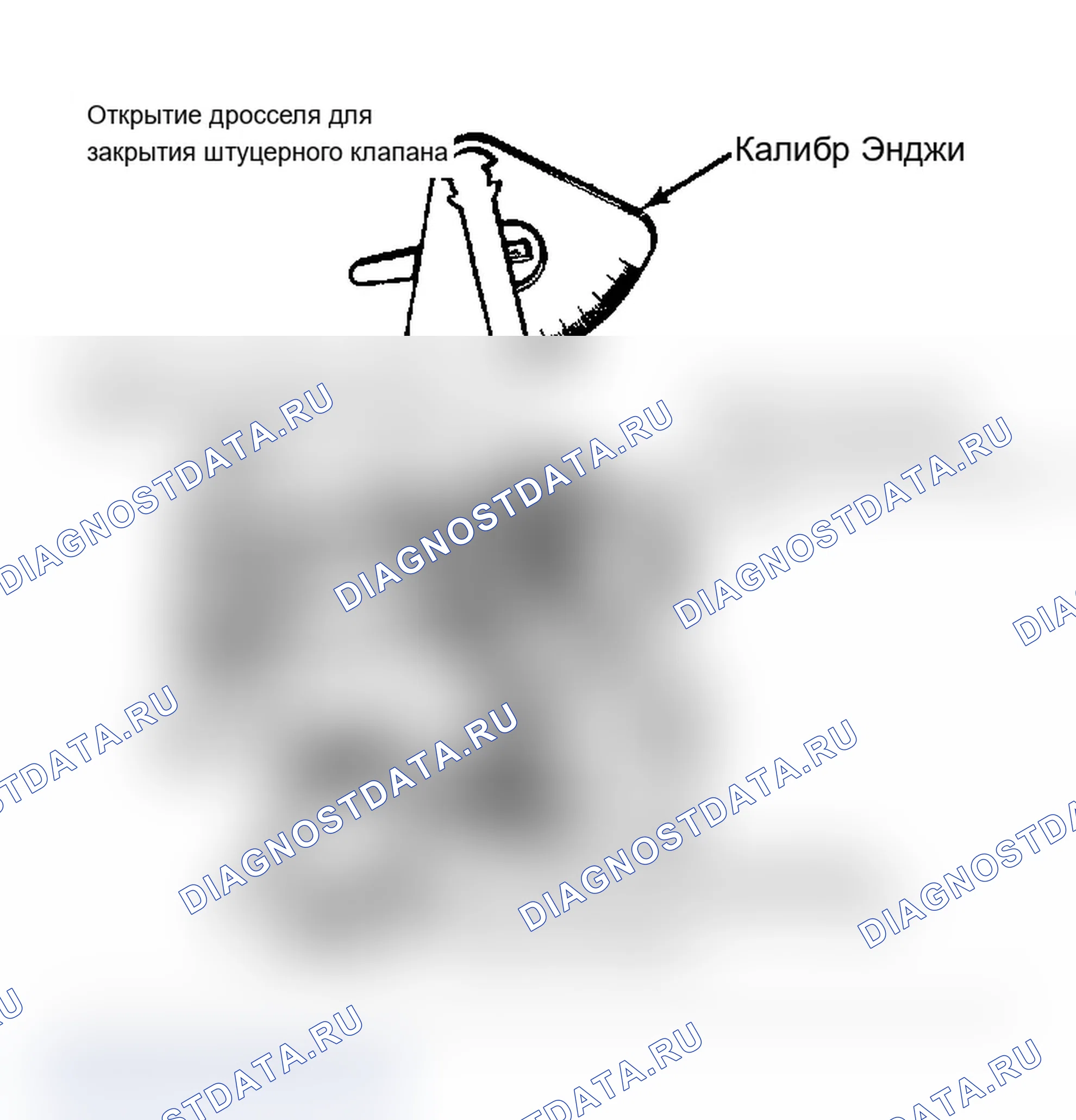 Рис. 11: ШТУЦЕРНЫЙ РАЗГРУЗЧИК. Chevrolet Celebrity I