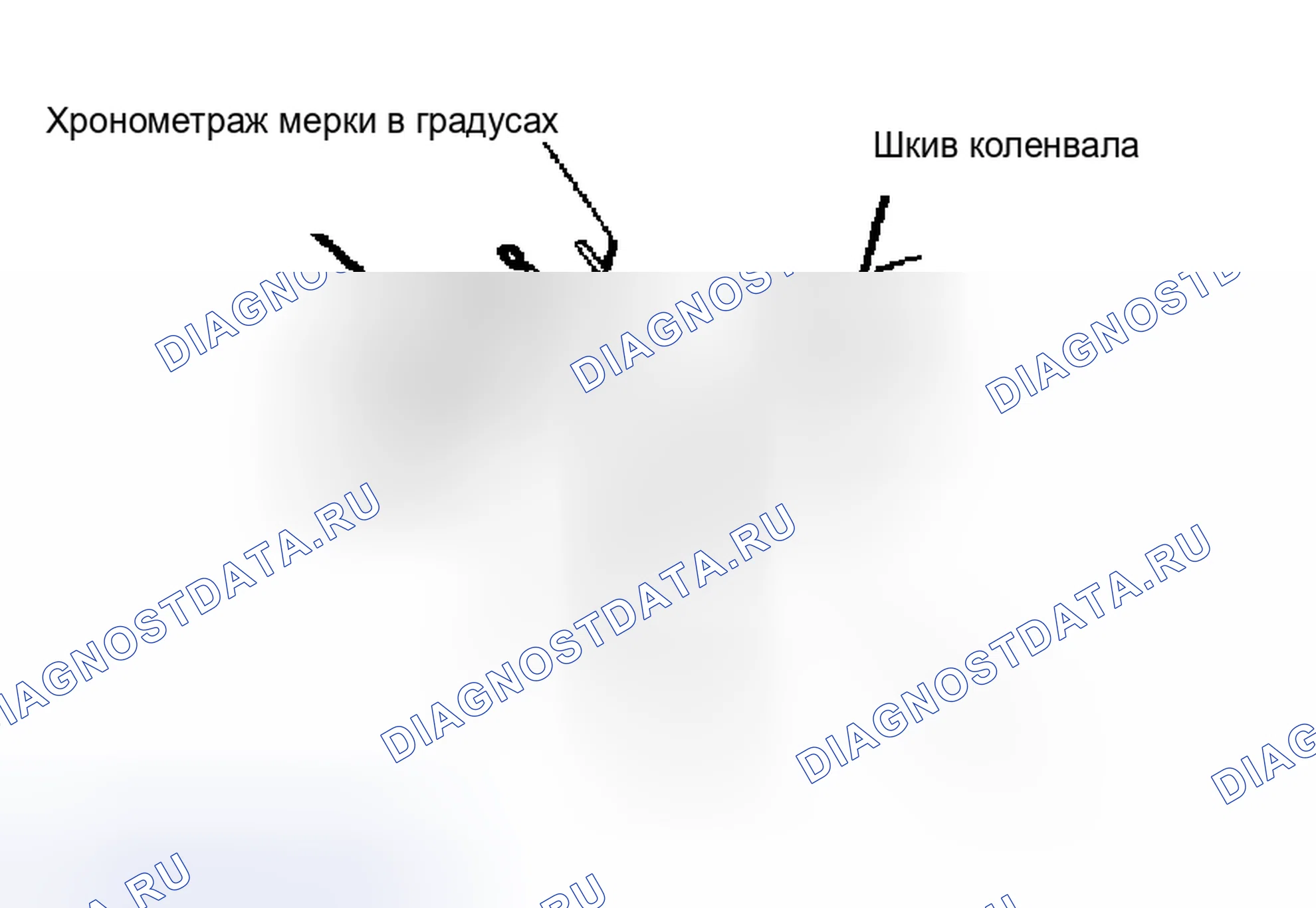 Рис. 2: Расположение метки опережения зажигания. Nissan Maxima G910