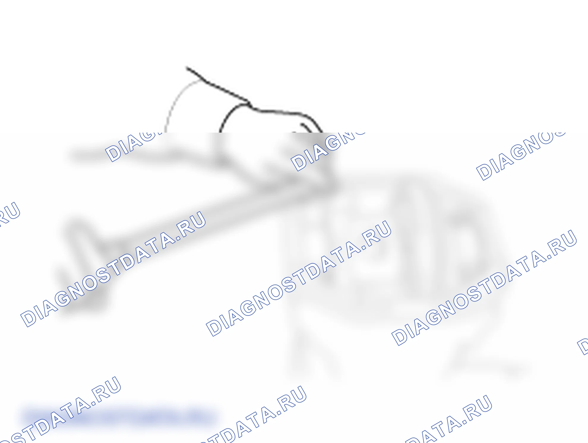 Разборка заднего держателя дифференциала. Hyundai Genesis Coupe(Bk)-U.S. I