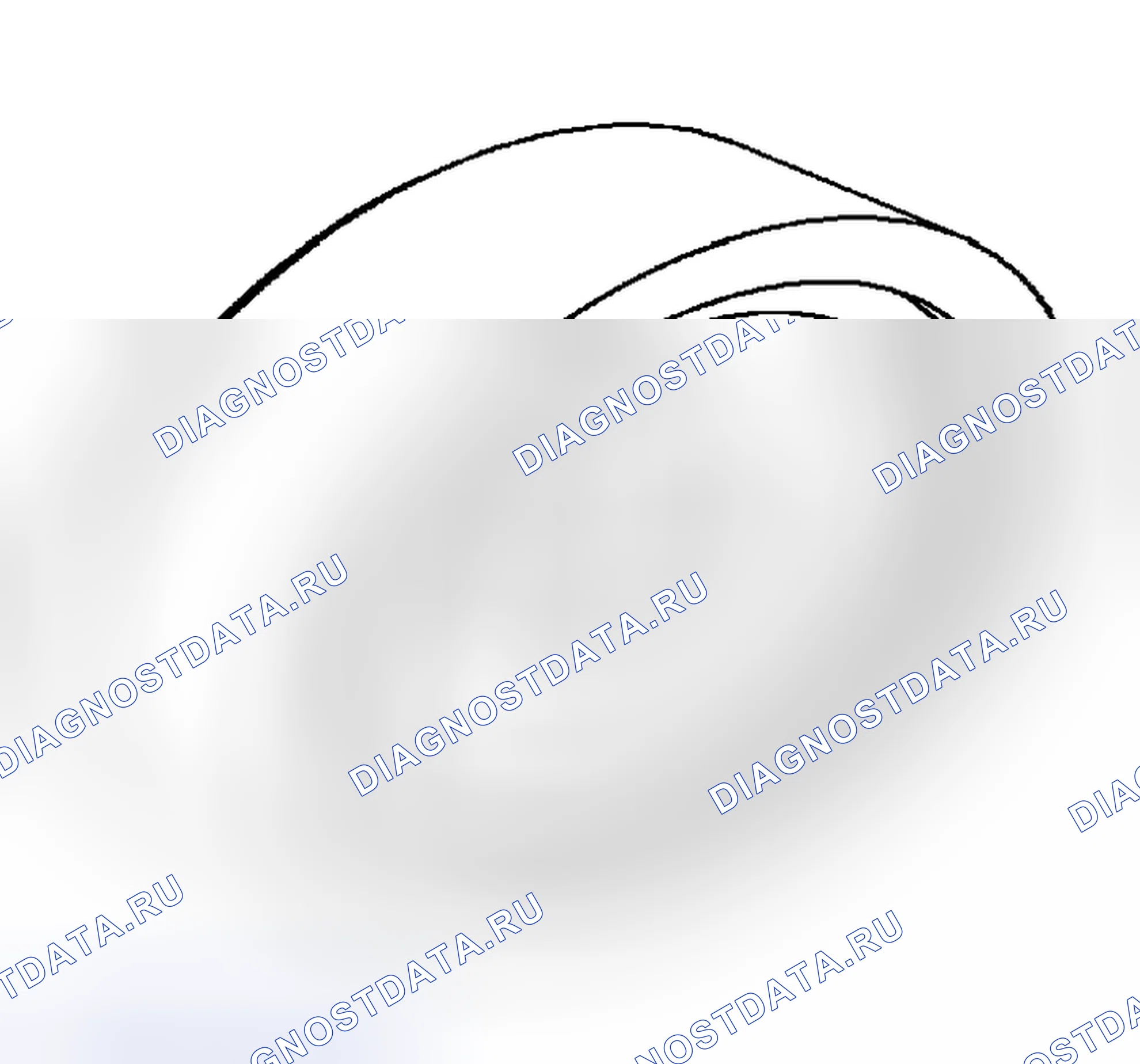 Рис. 21. Dodge Cab & Chassis R3500 HD 