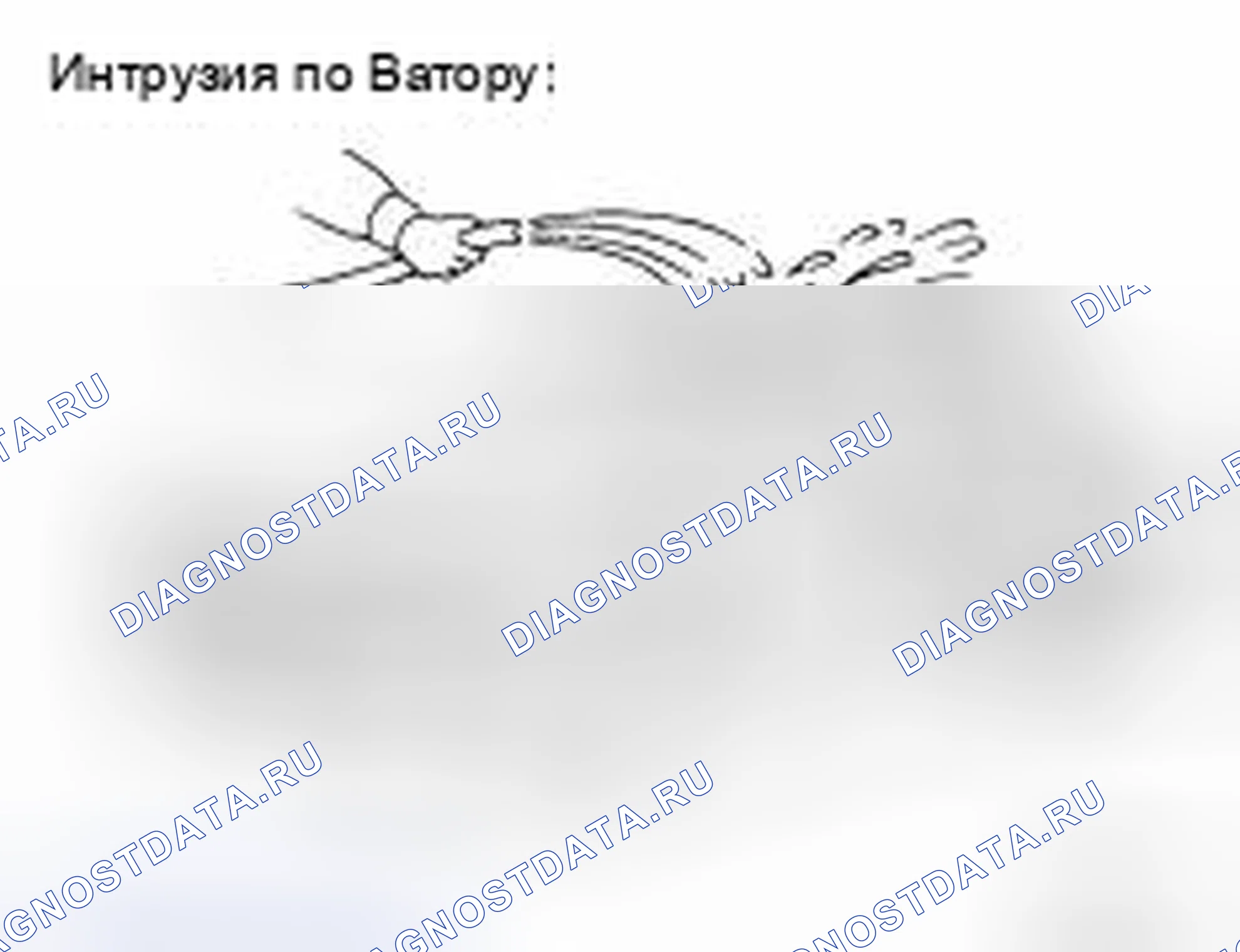 Рис. 55: Проникновение воды. Honda UR-V I