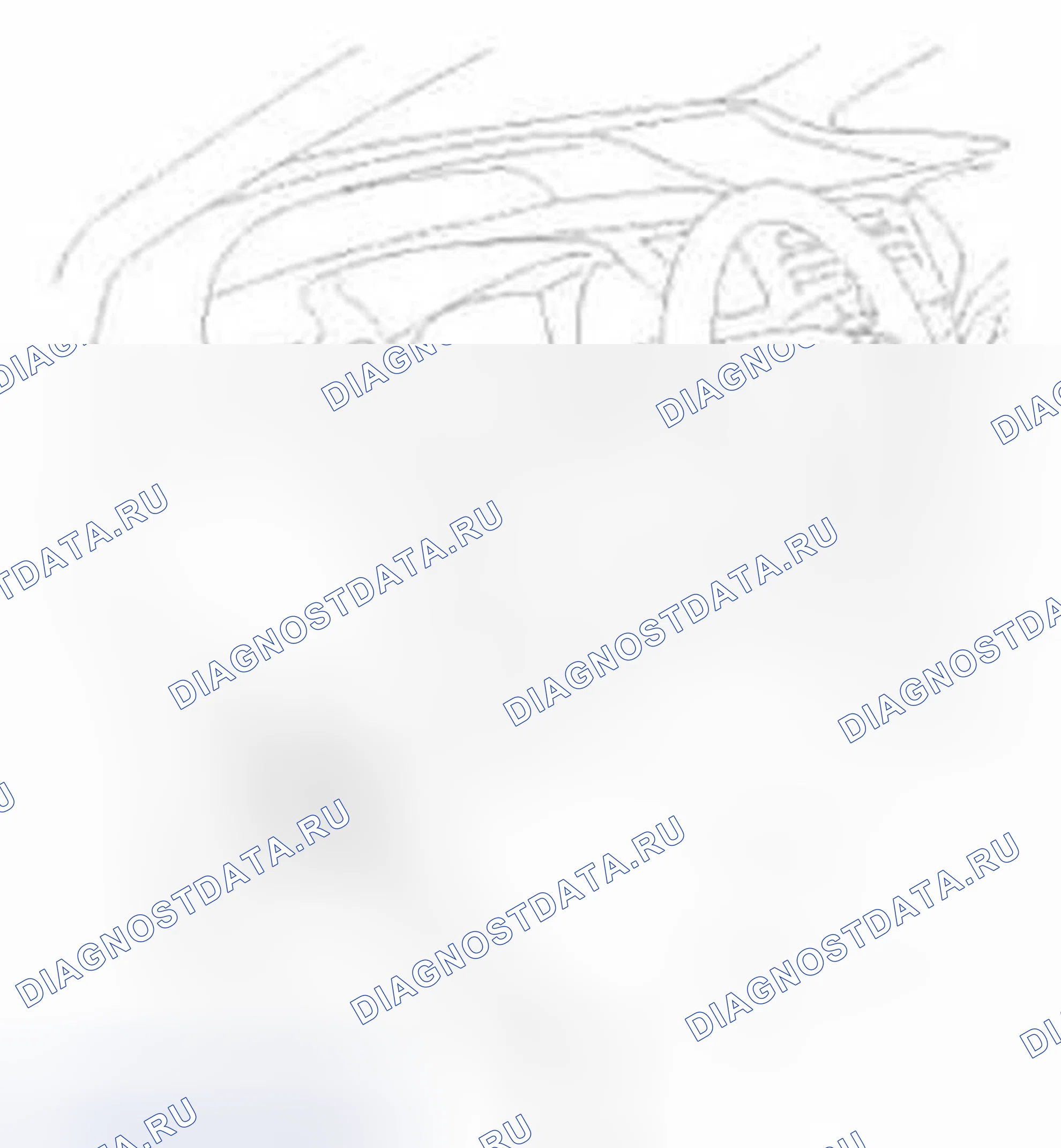 Рис. 798: Порядок выполнения работ. Honda Civic IX