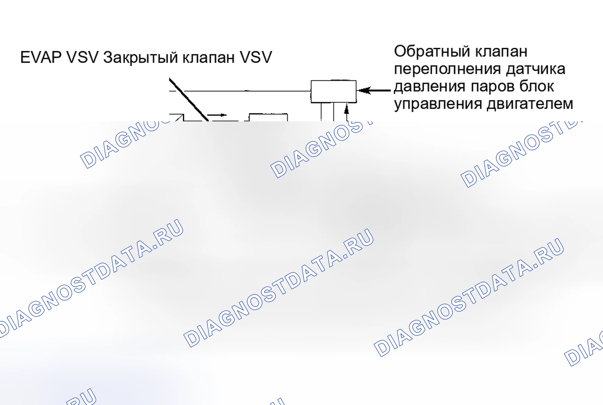 Рис. 44: Датчик давления паров (Avalon, Camry 2.2L 4-Cyl. Бензиновые модели, Camry 3.0L V6, Camry Solara, Celic. Toyota Land Cruiser 100