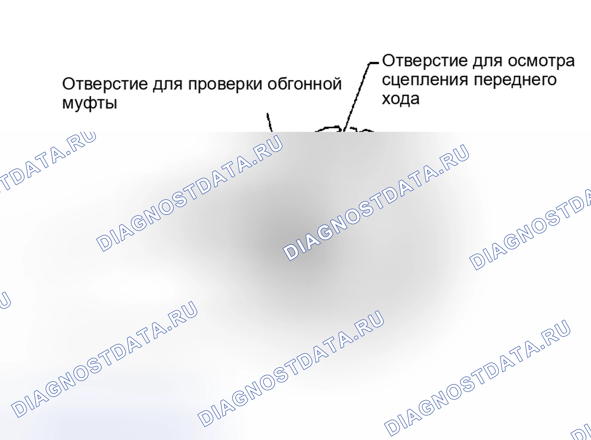 Рис. 211: РАЗБОРКА. Nissan Altima L31